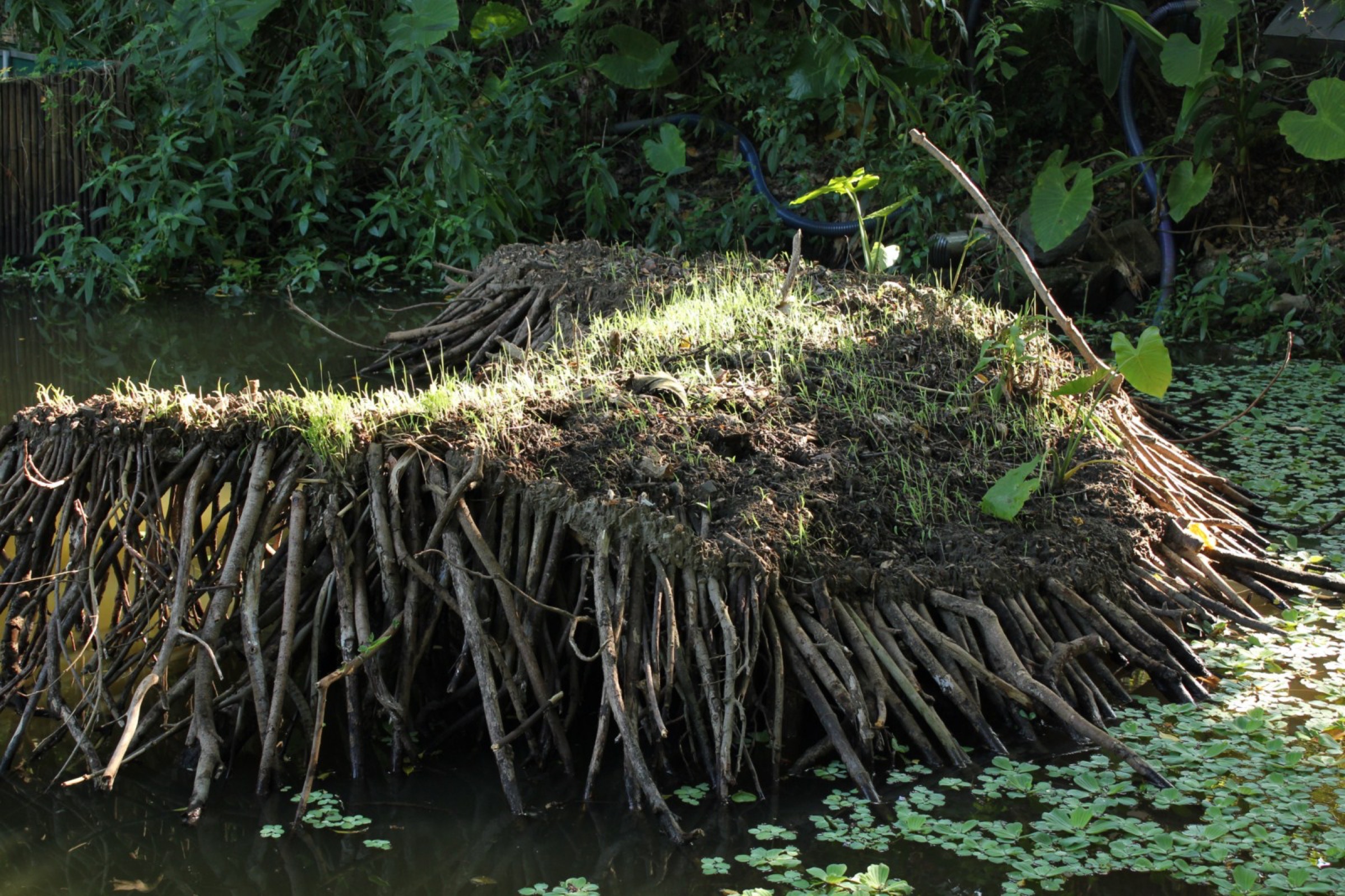 2014-09-Meander-Island-08