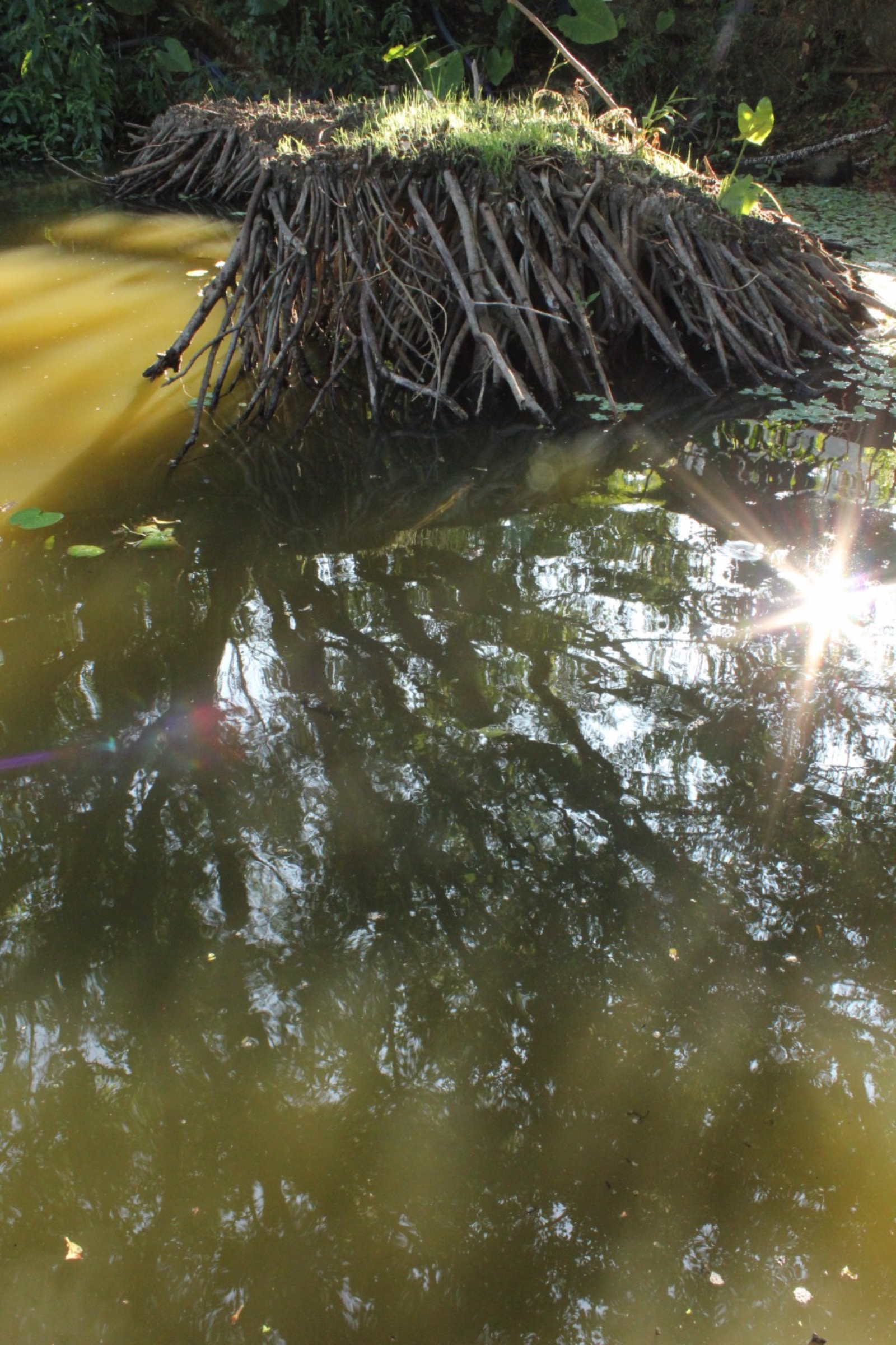 2014-09-Meander-Island-09