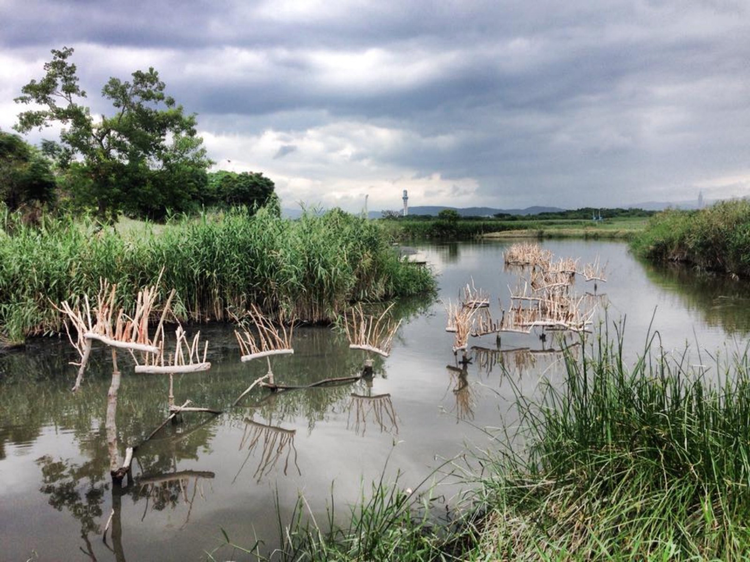 2015-09-潮語Tide-Whisper-01