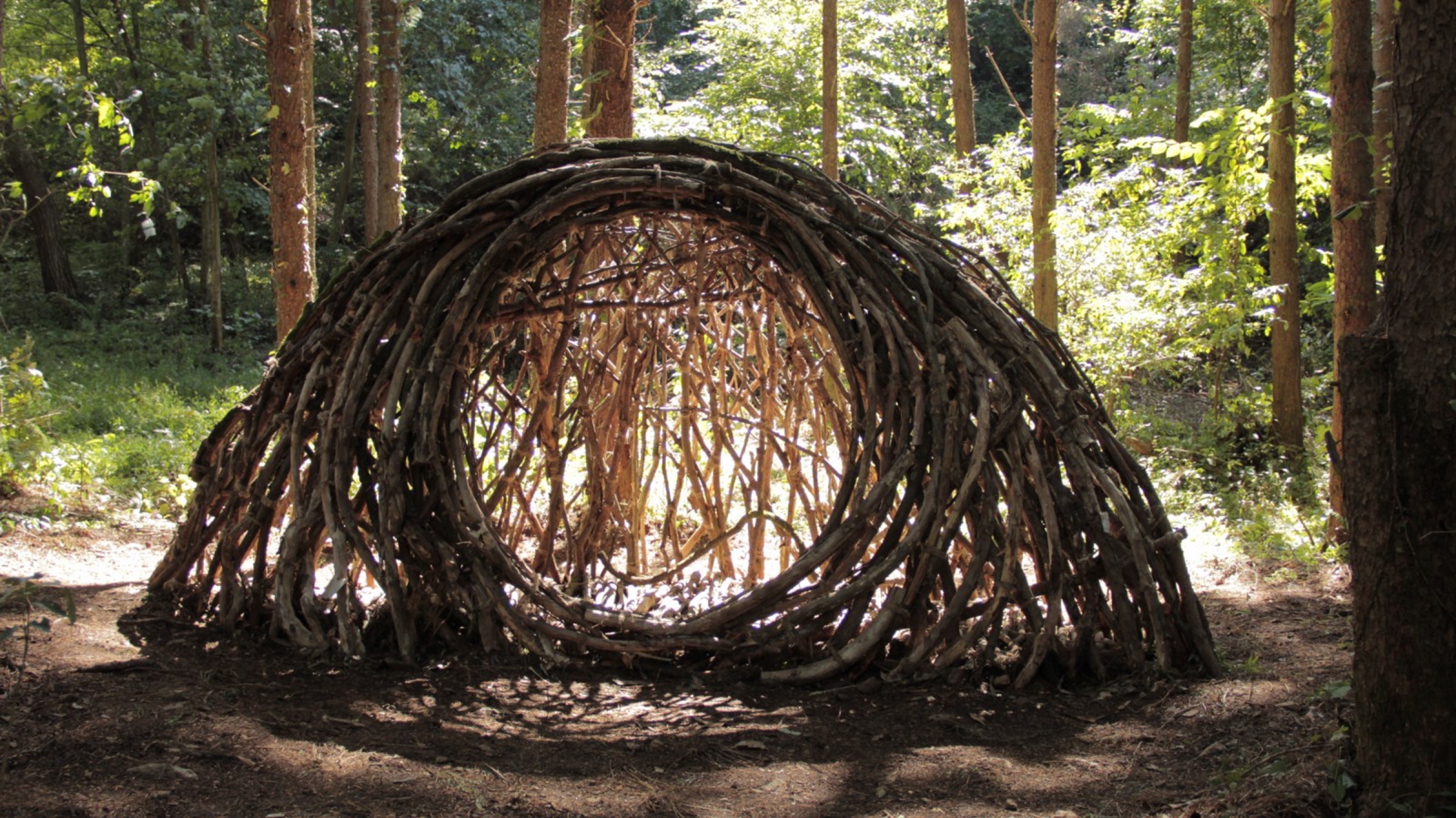 2016-Gangwon-Art-Habitat03