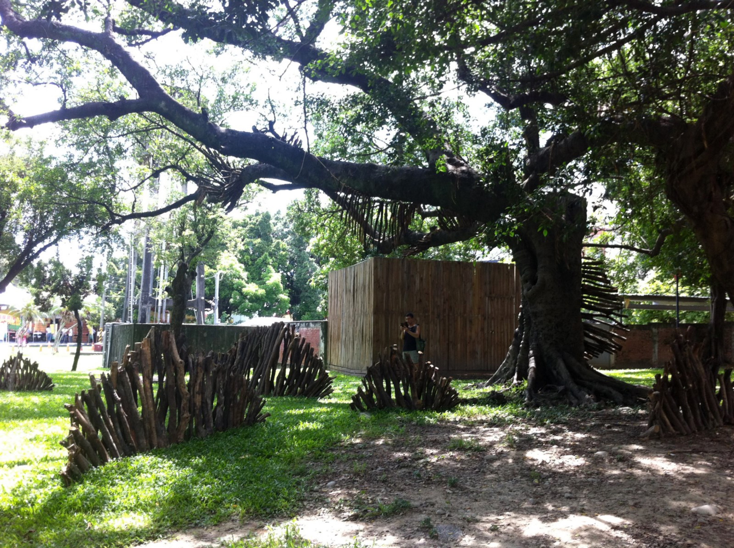 Vis viva - The energy of life