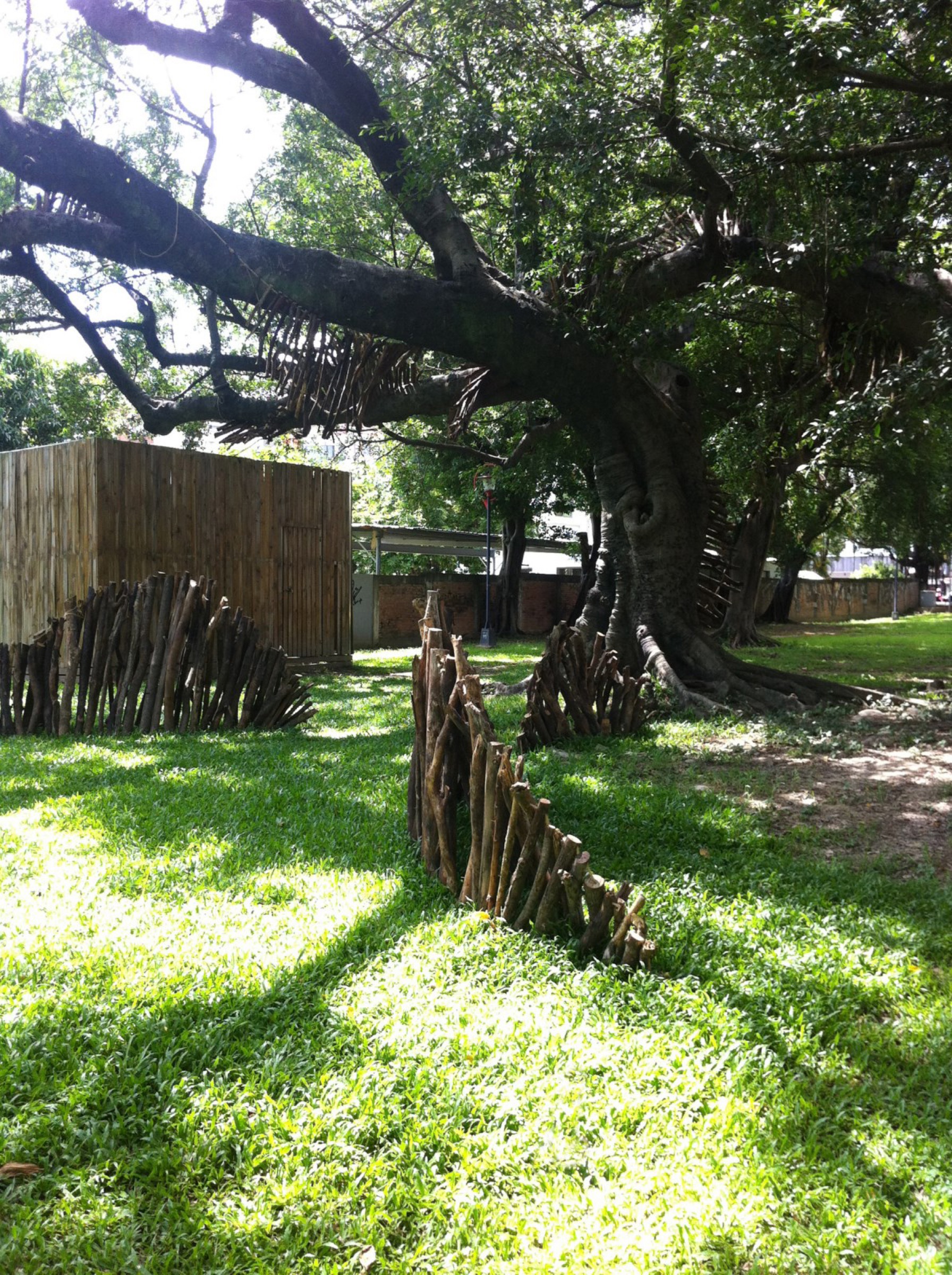 2016-Vis-viva-The-energy-of-life02