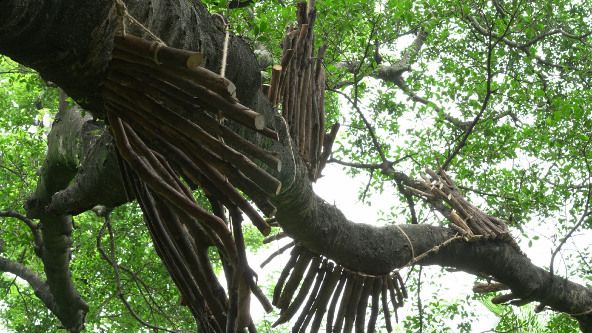 2016-Vis-viva-The-energy-of-life03