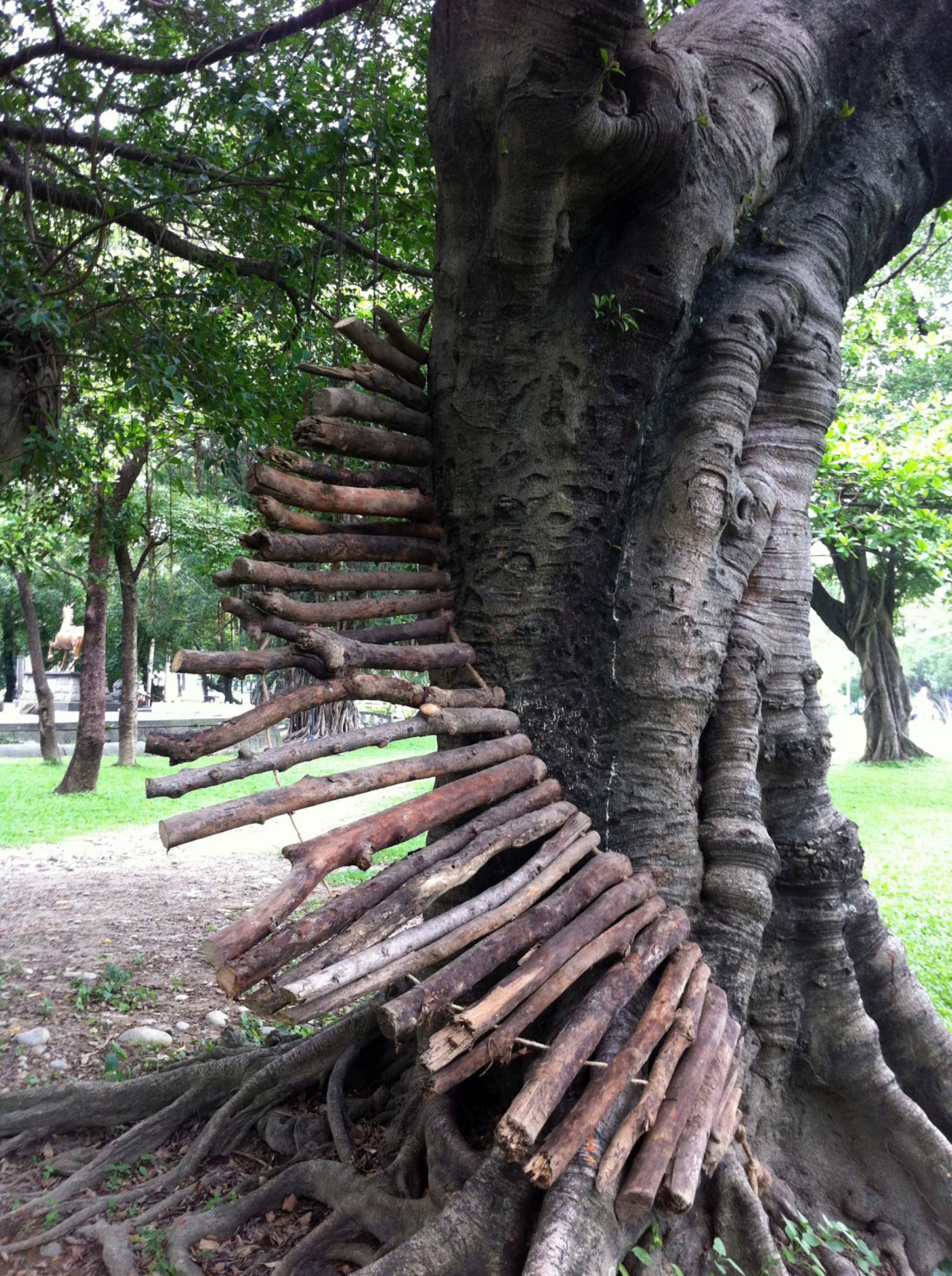 2016-Vis-viva-The-energy-of-life04