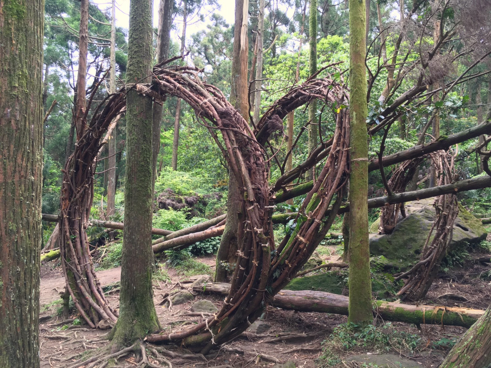 2017-The-Spiral-of-Nature’s-Boundary-2