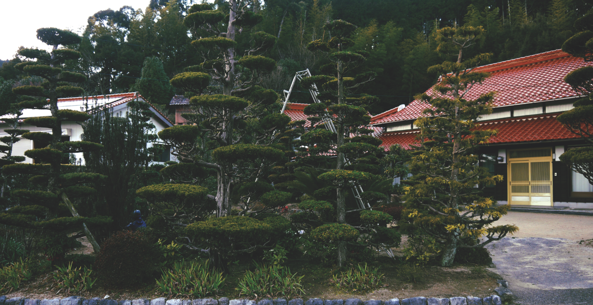 A- 柏園