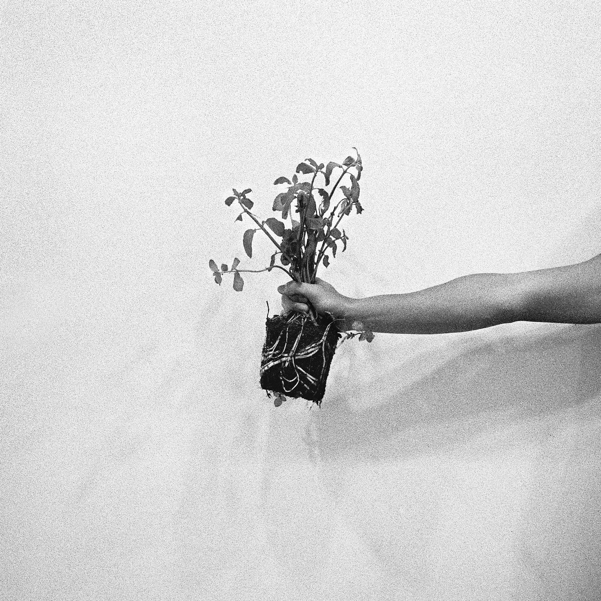 love-remains_17