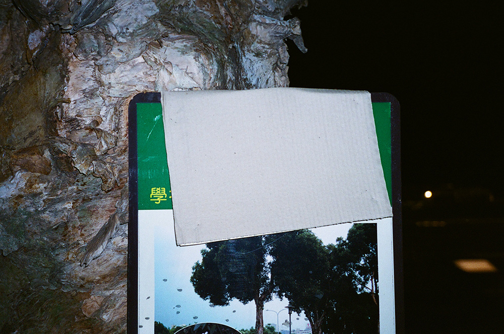48670030_1000