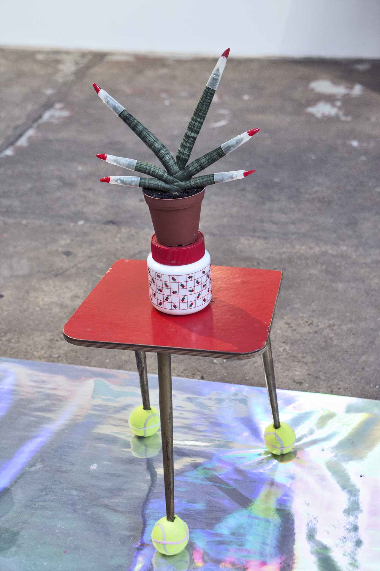6.-whats-up-plant_-installation-2-w1080