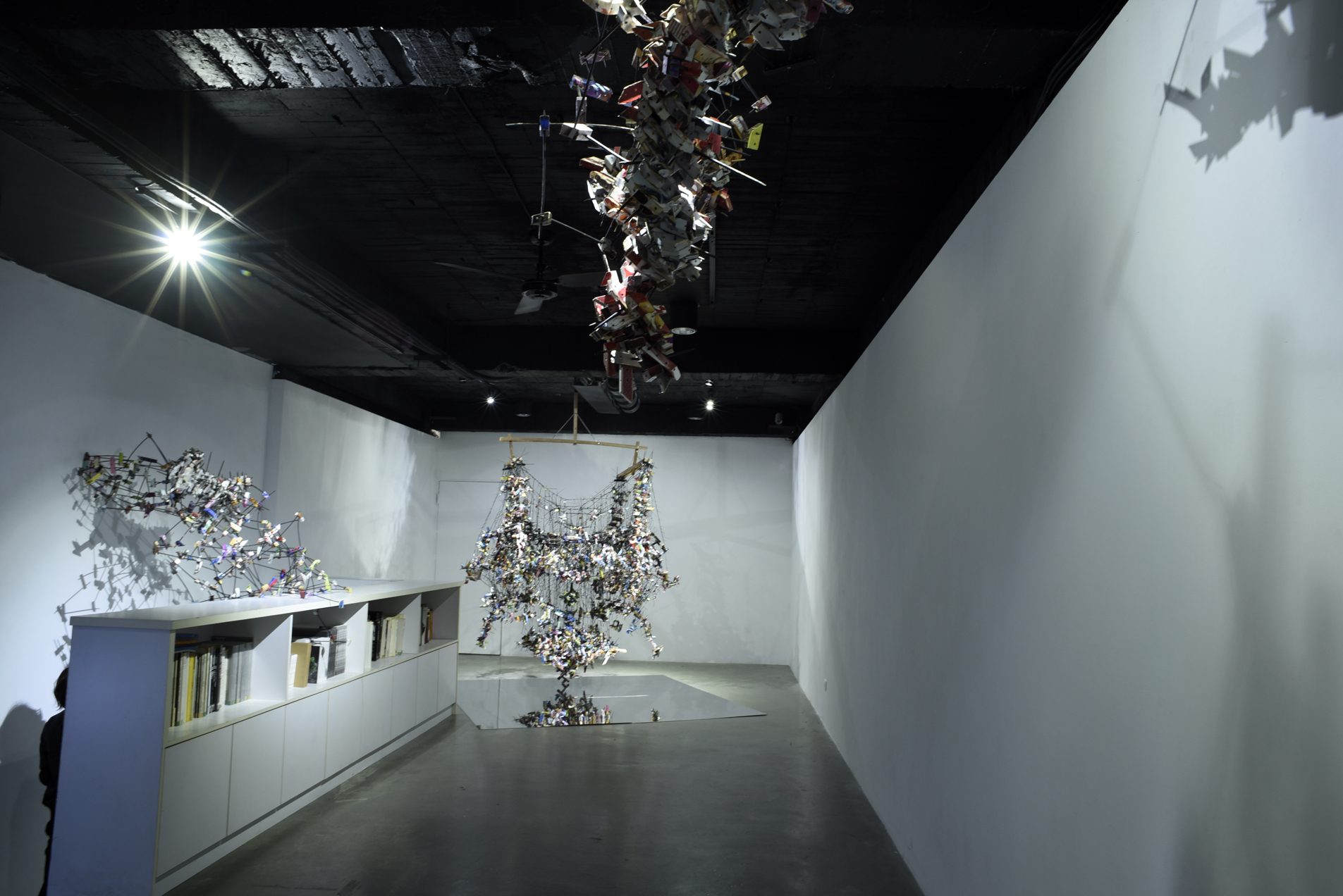 山寨─顯影和飛獸