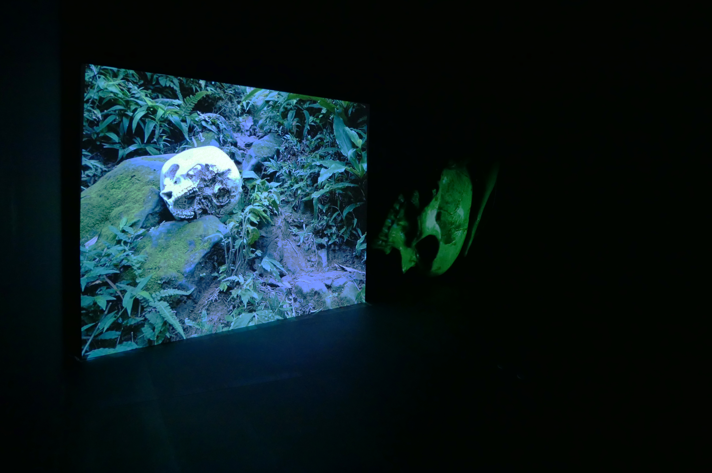番肉考-3_2400W
