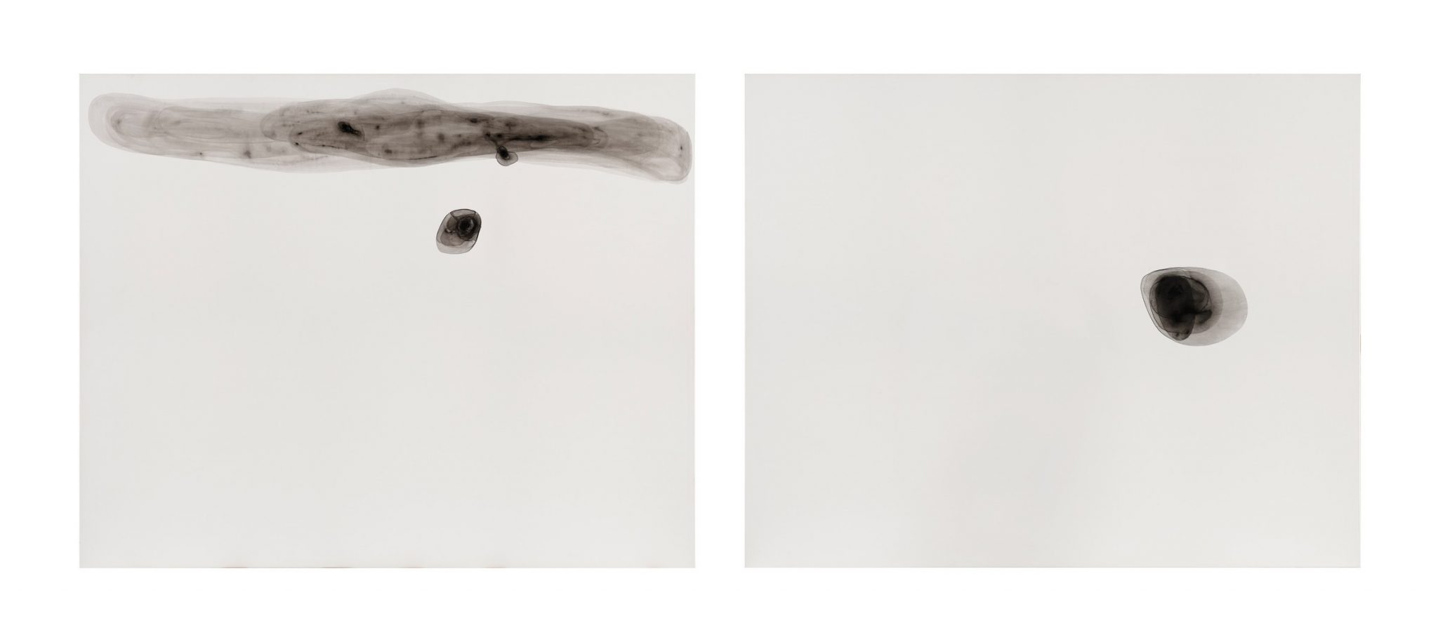 13-黃于珊-看不見的存在-七九-壓克力顏料、畫布-100×80-cm-2-pieces-2015_edit-scaled