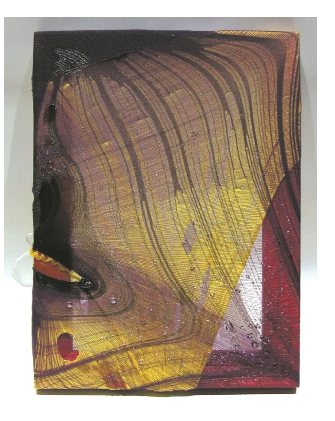 23-黃于珊-沸沸揚揚-9-彈性纖維、環氧樹脂、木框-33×24㎝-2011_edit