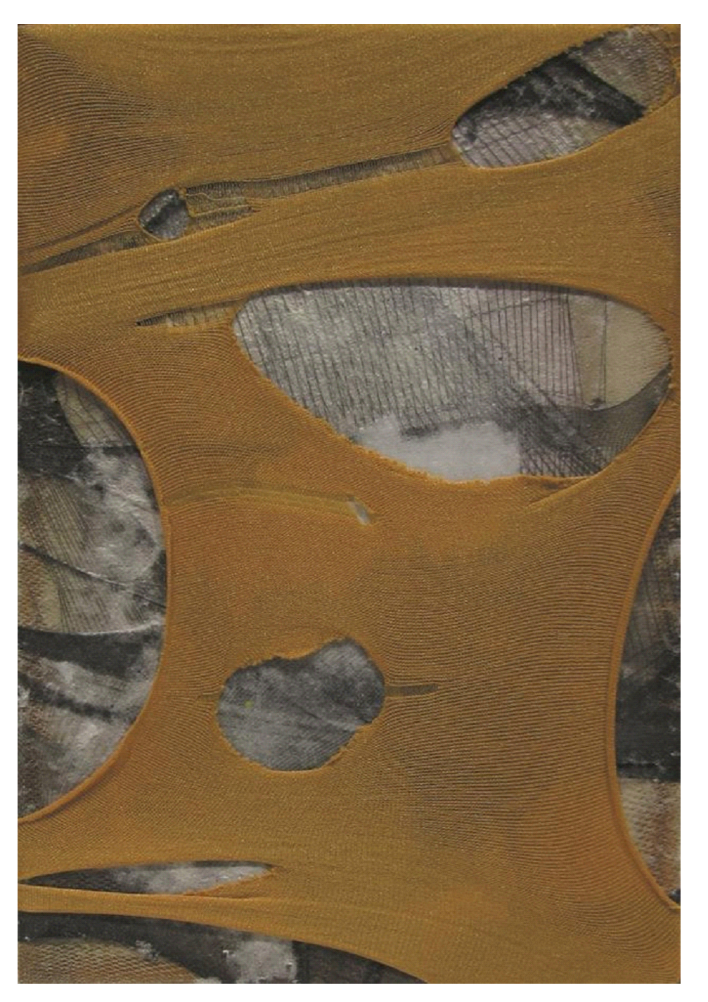 26-黃于珊-你說．我說-13-彈性纖維、紙纖維、墨、木框-17.5×25.5㎝-2011_edit