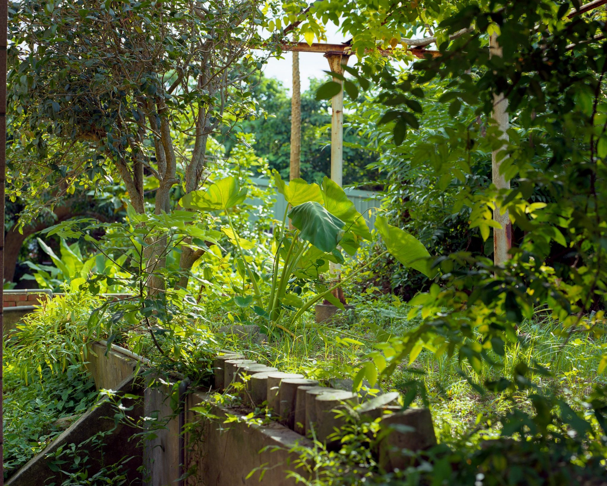 被荒棄的維度1414_75x60cm_噴墨輸出於相紙、鋁框裱褙_2019_edit-scaled