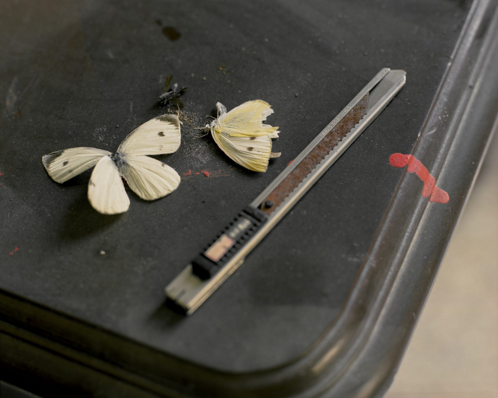 被荒棄的維度1515_75x60cm_噴墨輸出於相紙、鋁框裱褙_2019_edit-scaled