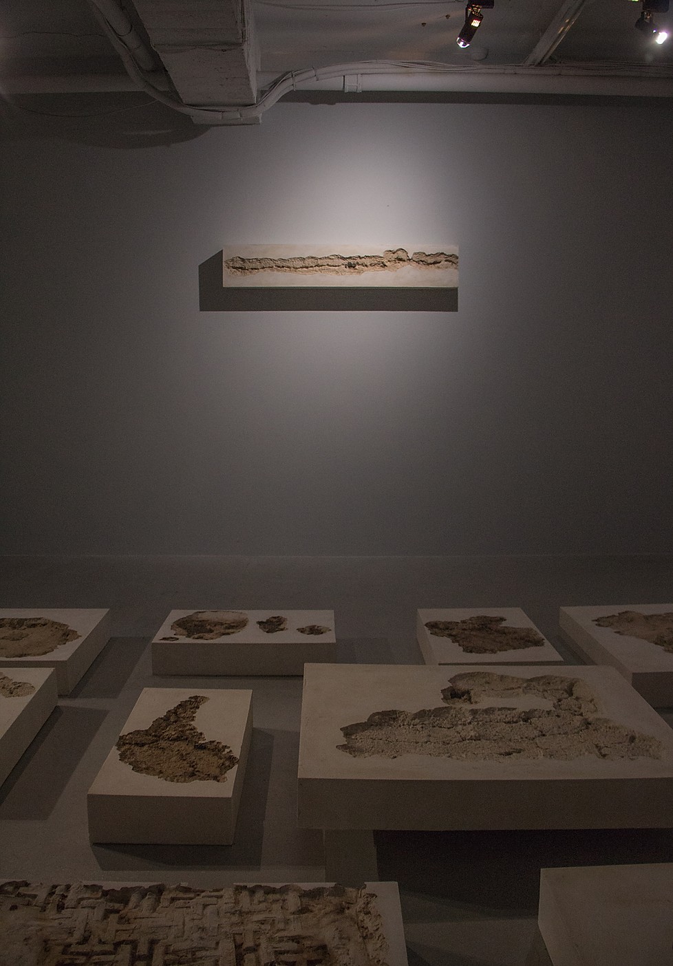 闕漏好朋友：台北取樣