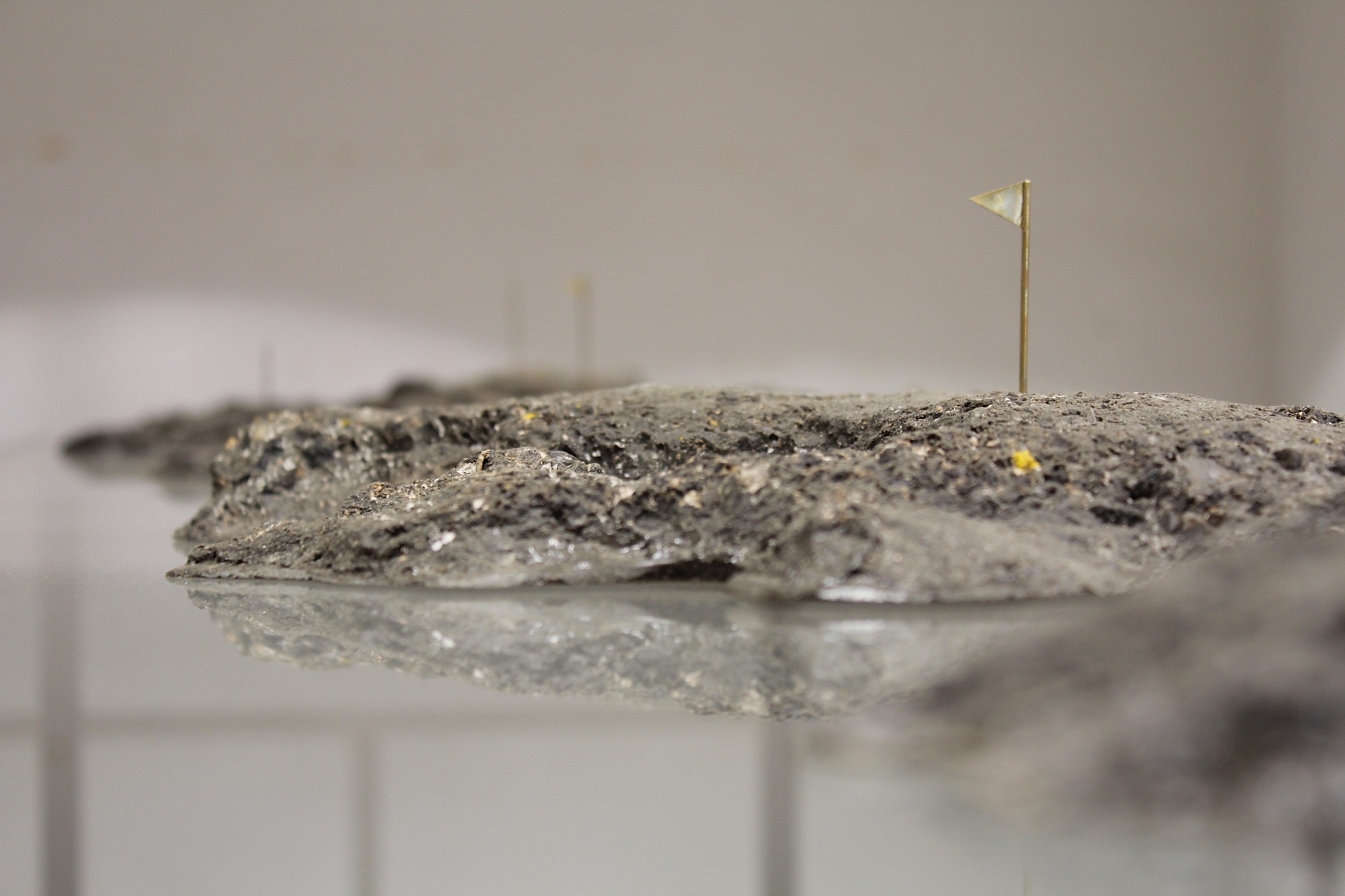 闕漏好朋友：路的皺紋