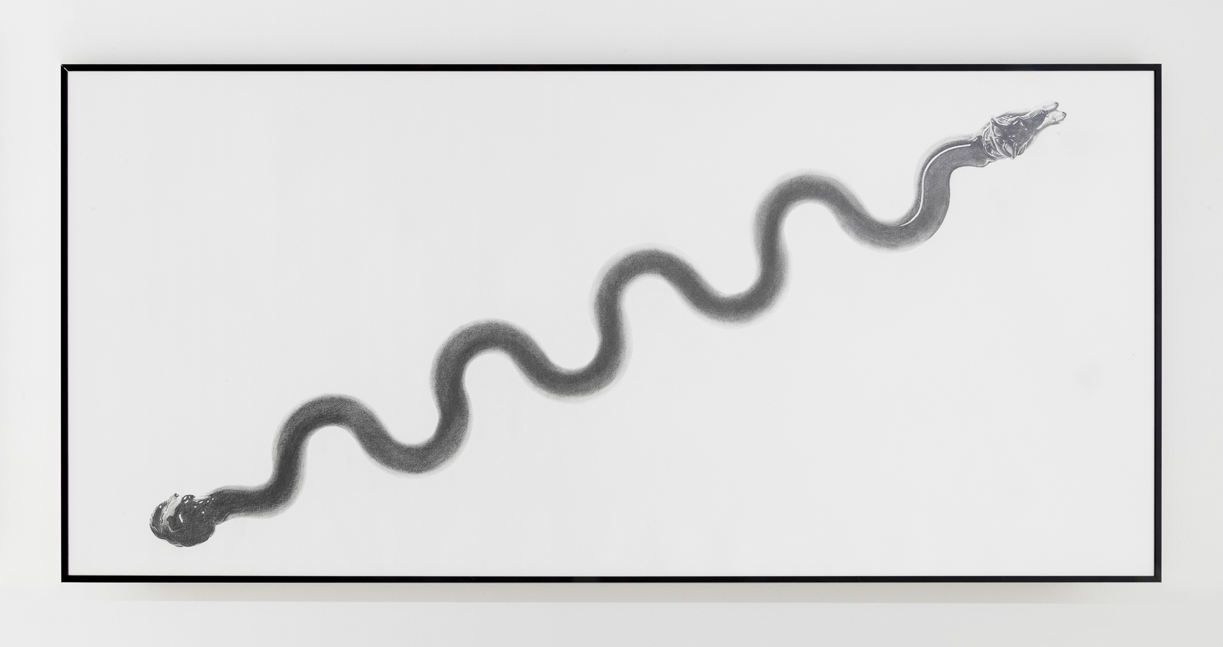 19.NCFC_FDD-D_weave-poles-_MG_2563