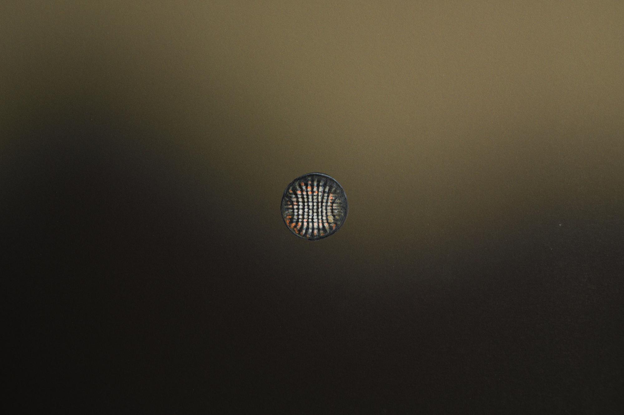 像個太陽