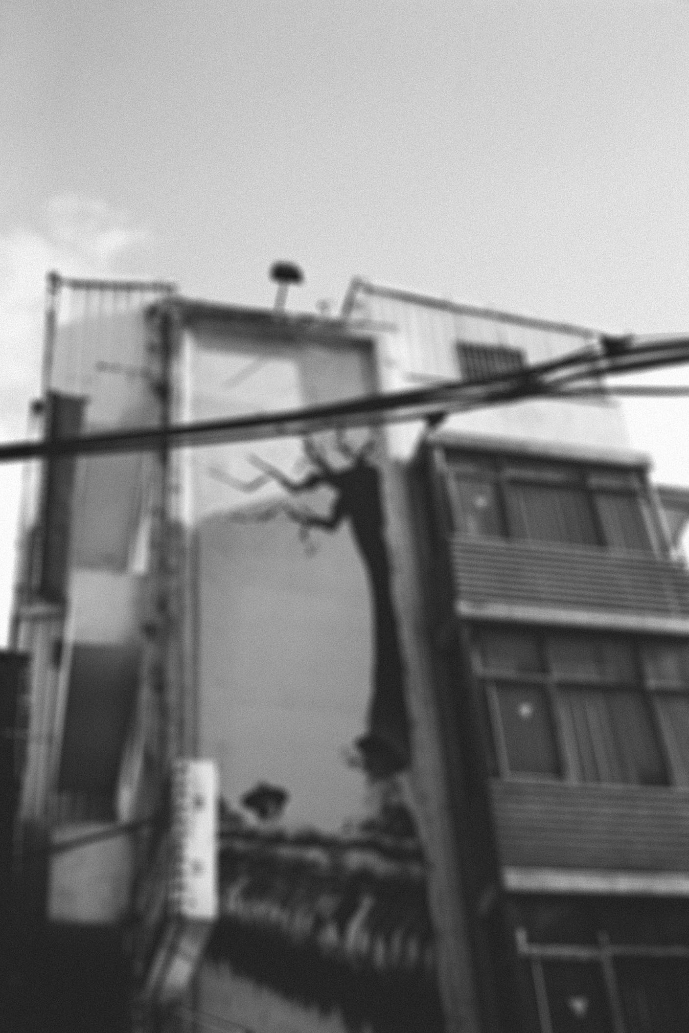 Last-Seen-XXV