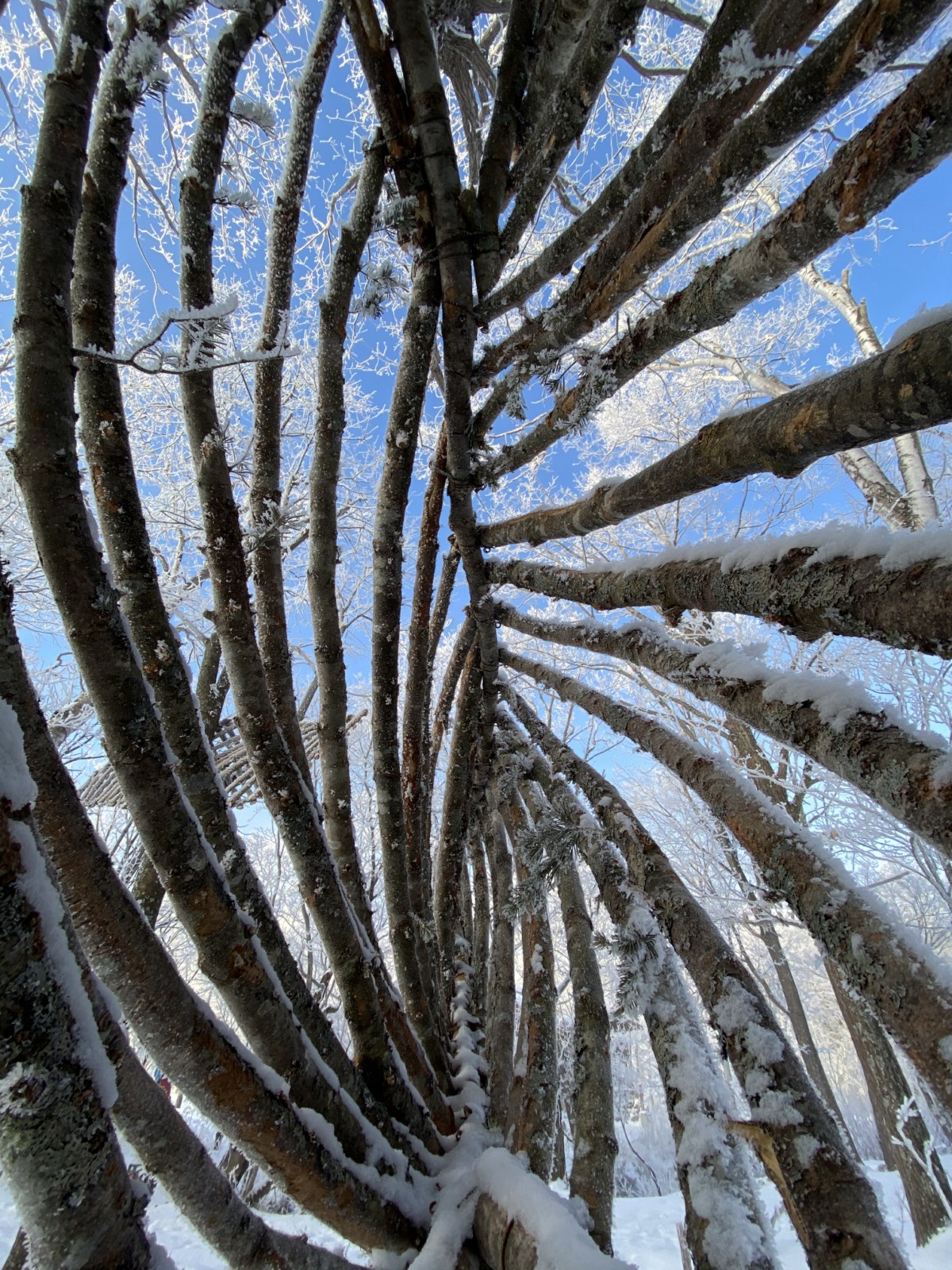 2020-01-wind-3-1600x1200-1