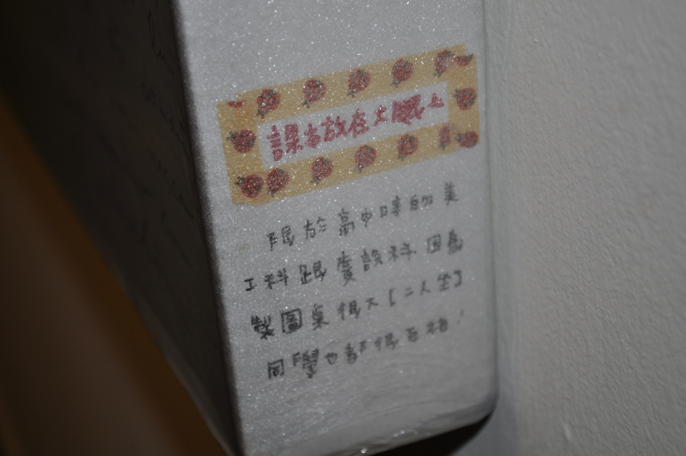 DSC0054