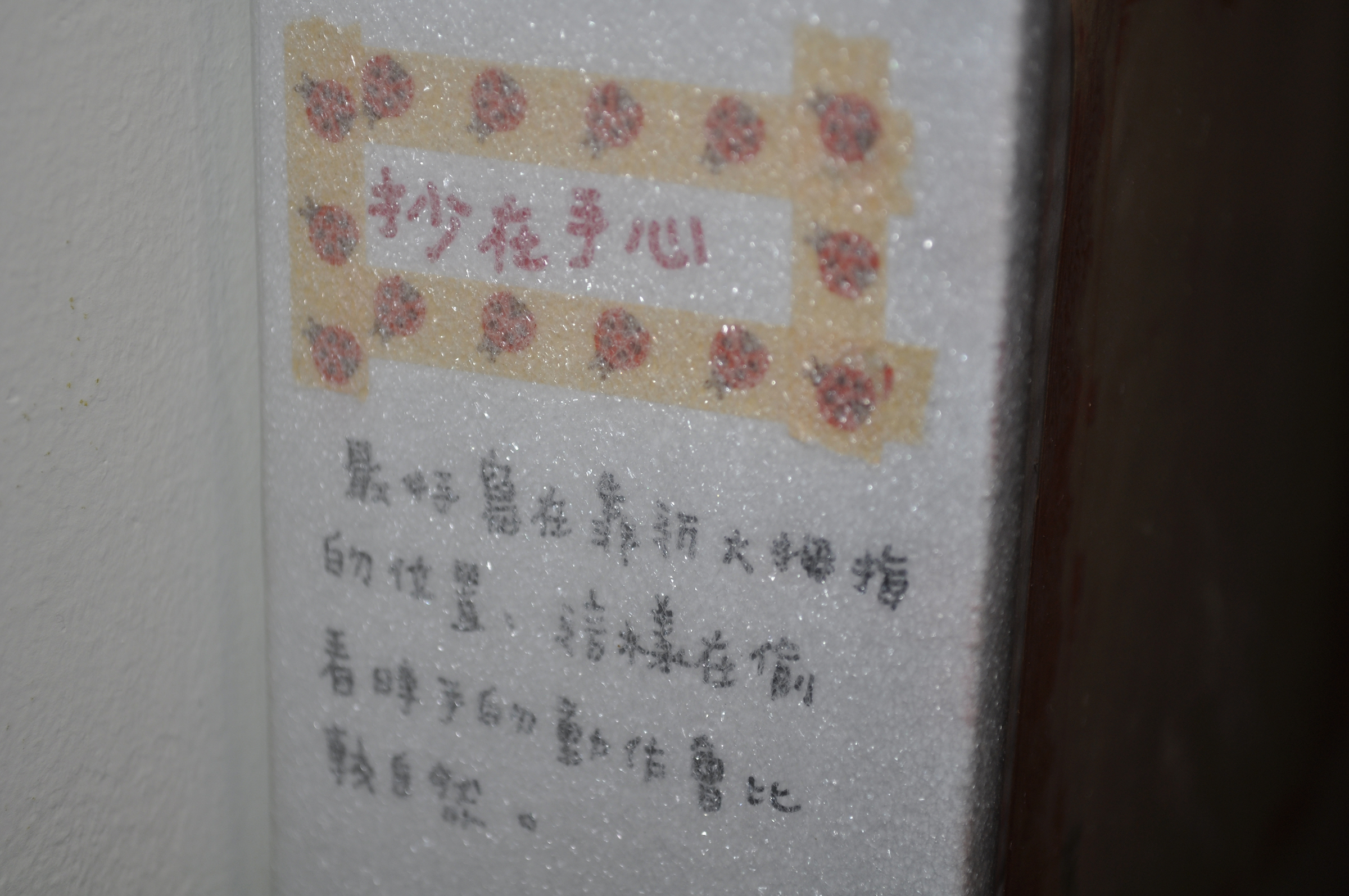 DSC0056