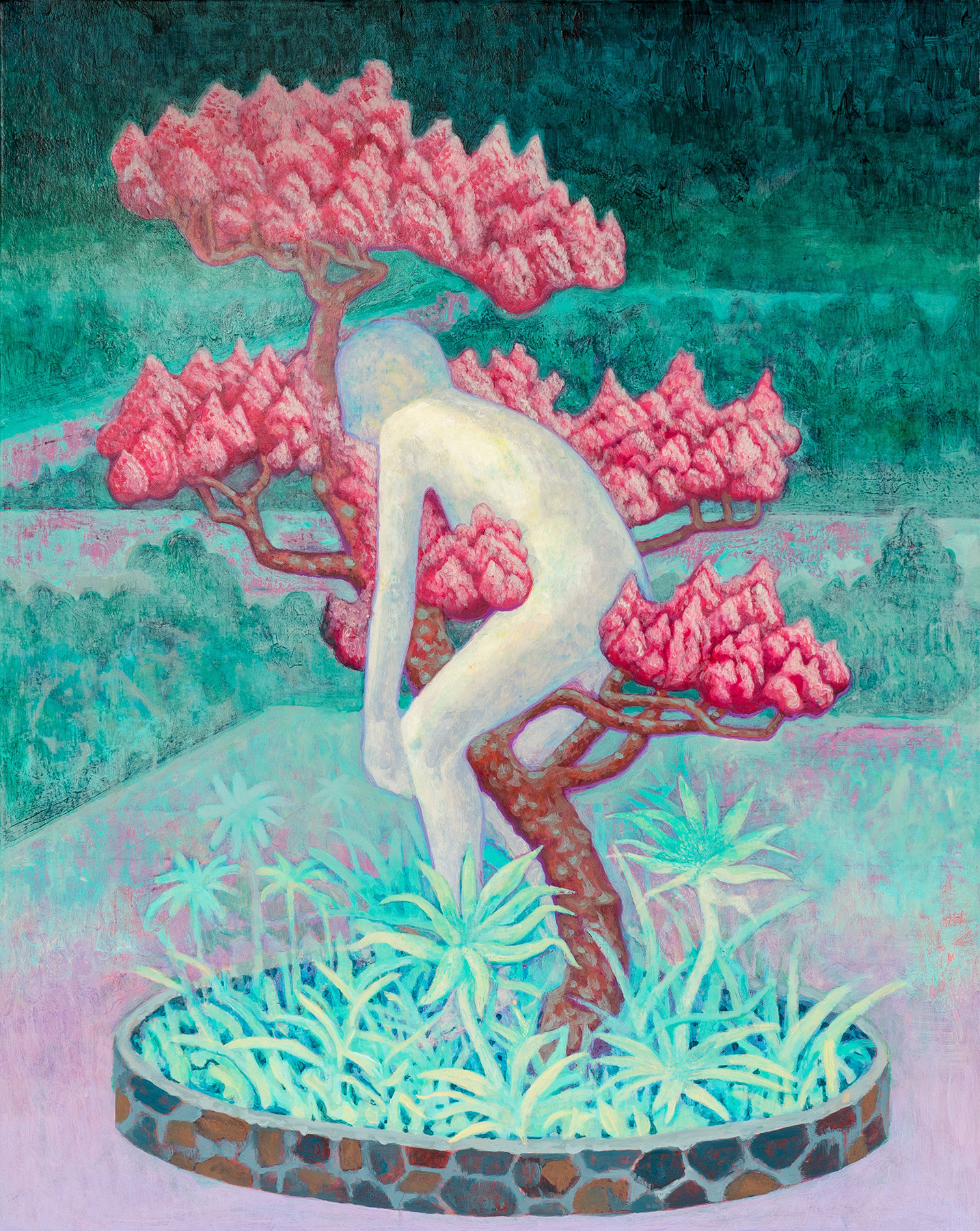 我想念童年最愛攀爬的那顆柏樹