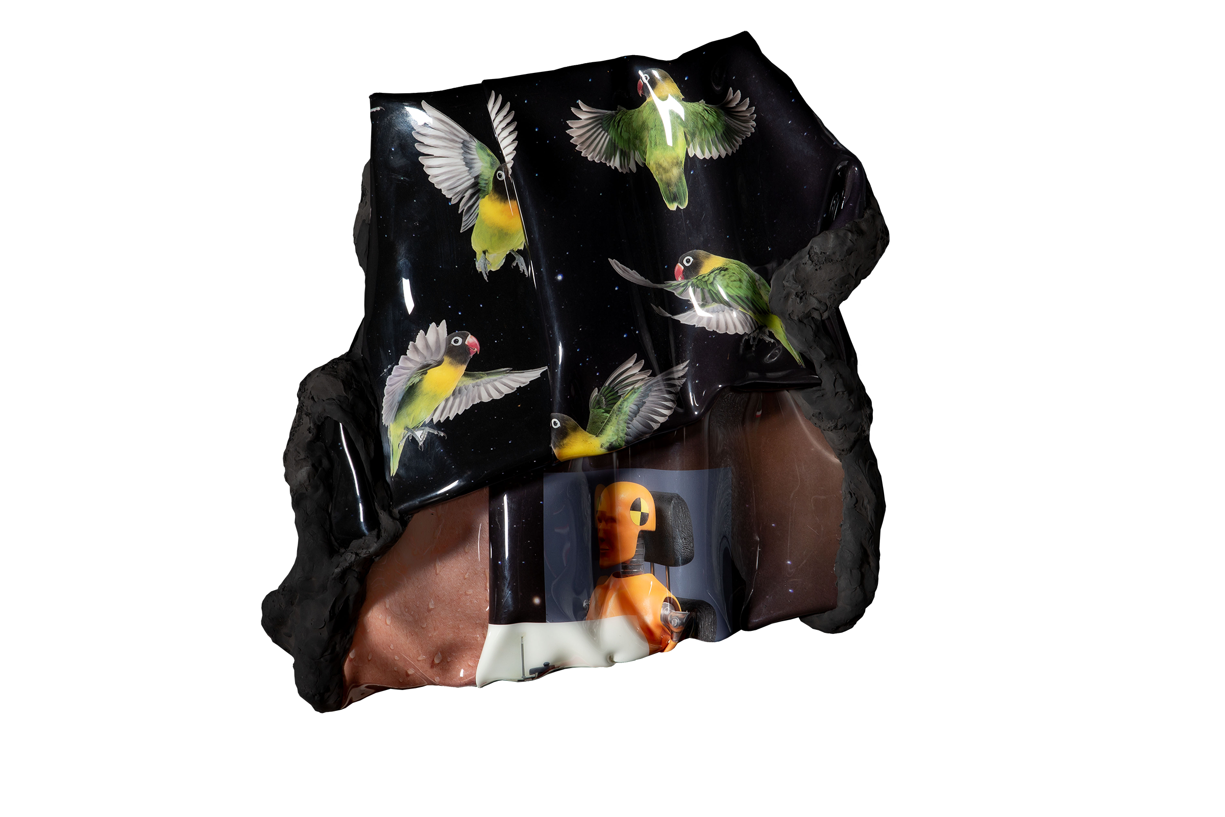 鳥類、皮膚與實驗者｜40×40×18-cm｜2019｜壓克力、數位直噴、輕質土、泡綿
