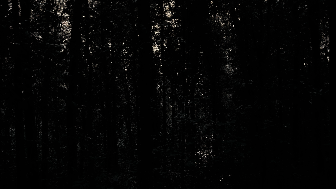 71_1_orig
