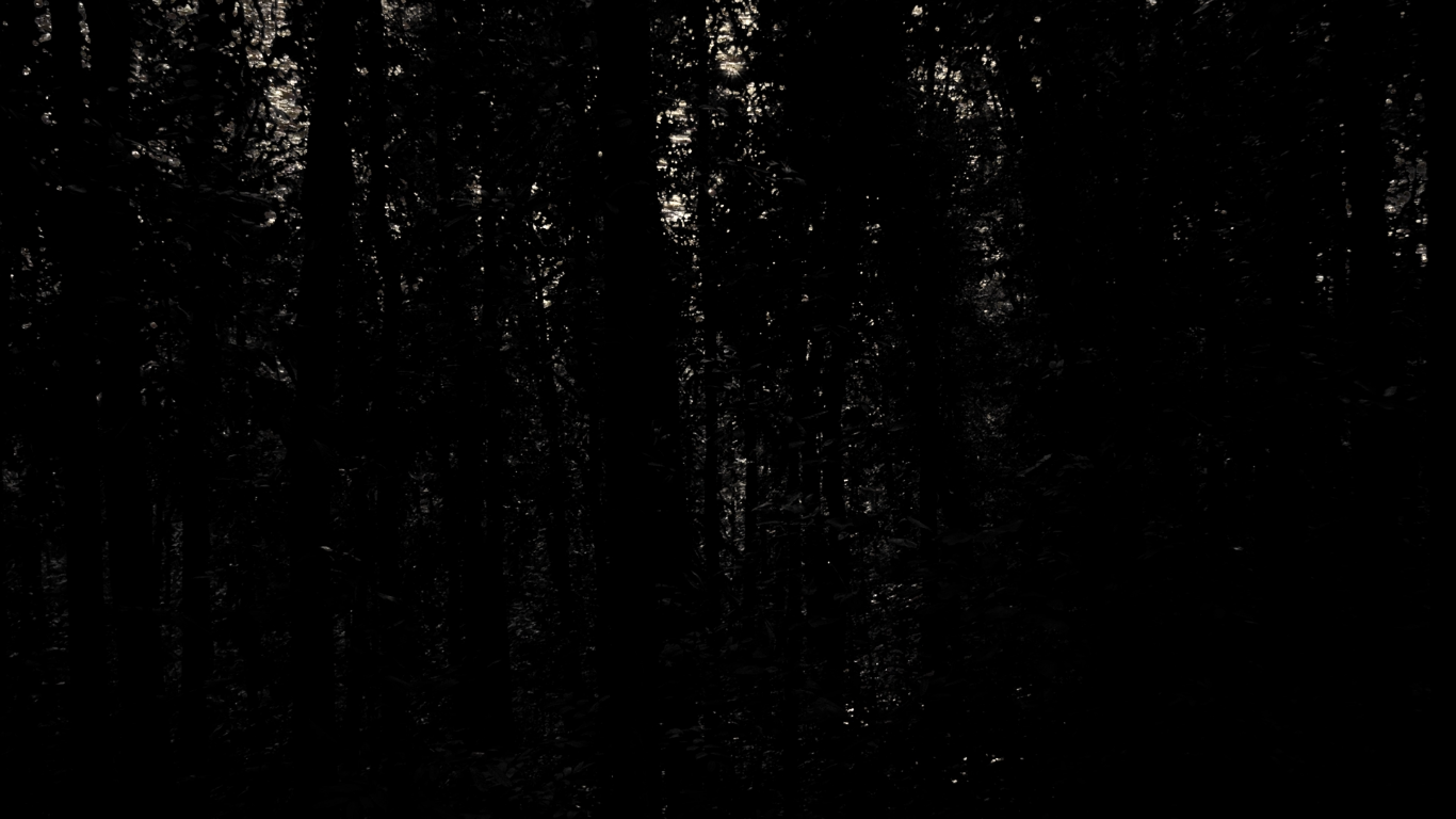 72_1_orig