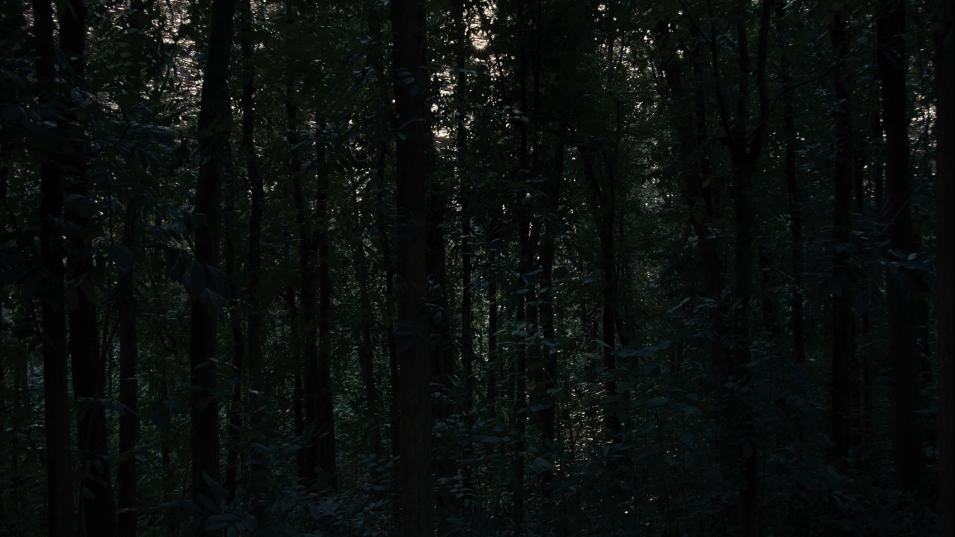 73_1_orig