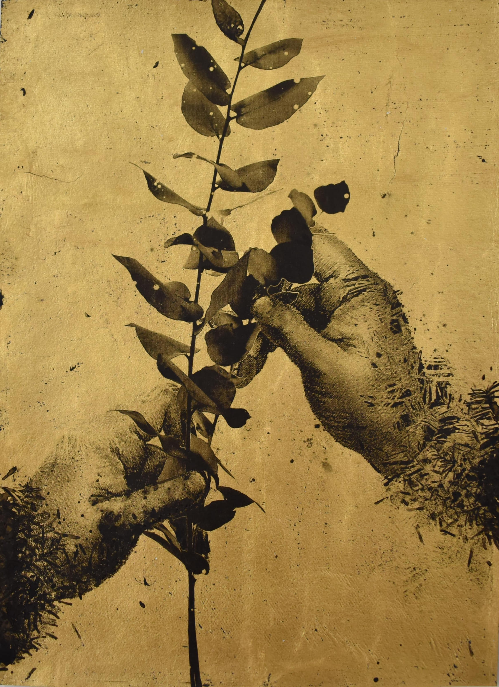 屋頂上的植物學家57-Botanist-on-the-roof57-21X29.5cm-紙本、墨水、金箔-2016