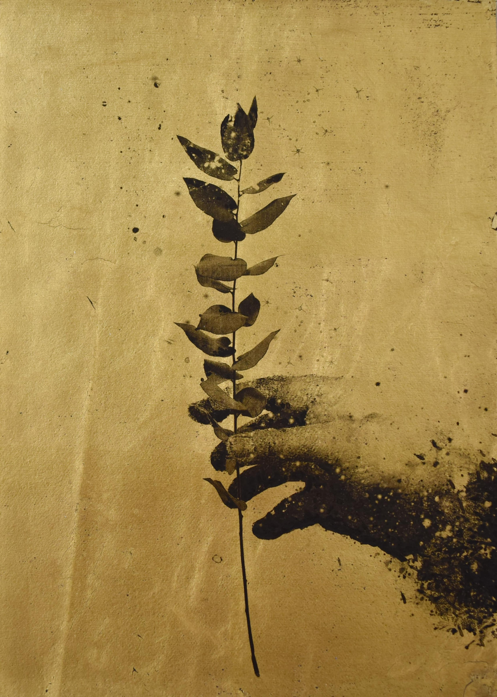 屋頂上的植物學家62-Botanist-on-the-roof62-21X29.5cm-紙本、墨水、金箔-2016