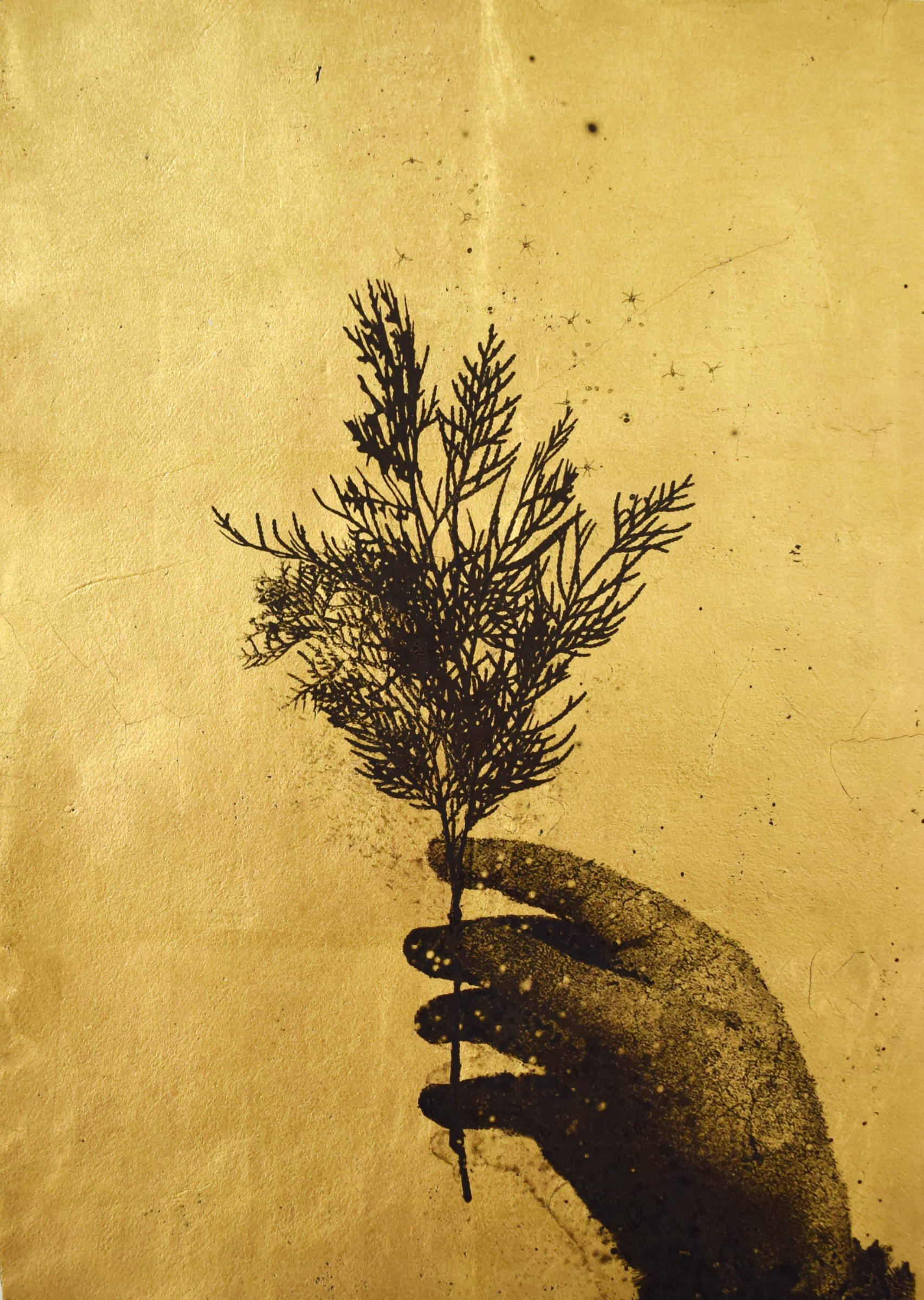 屋頂上的植物學家63-Botanist-on-the-roof63-21X29.5cm-紙本、墨水、金箔-2016