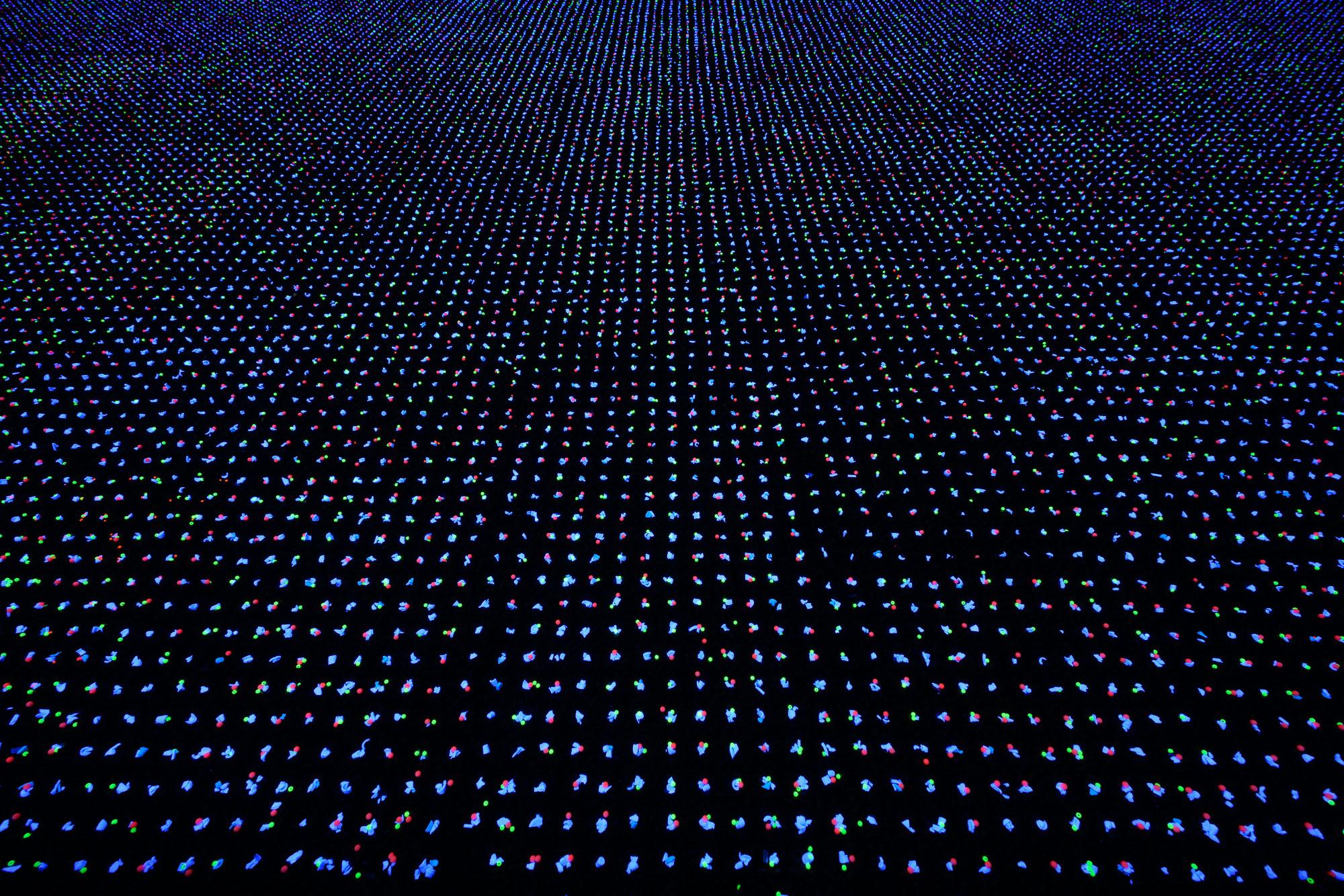 20211229_Natural-sequence_0015_Small