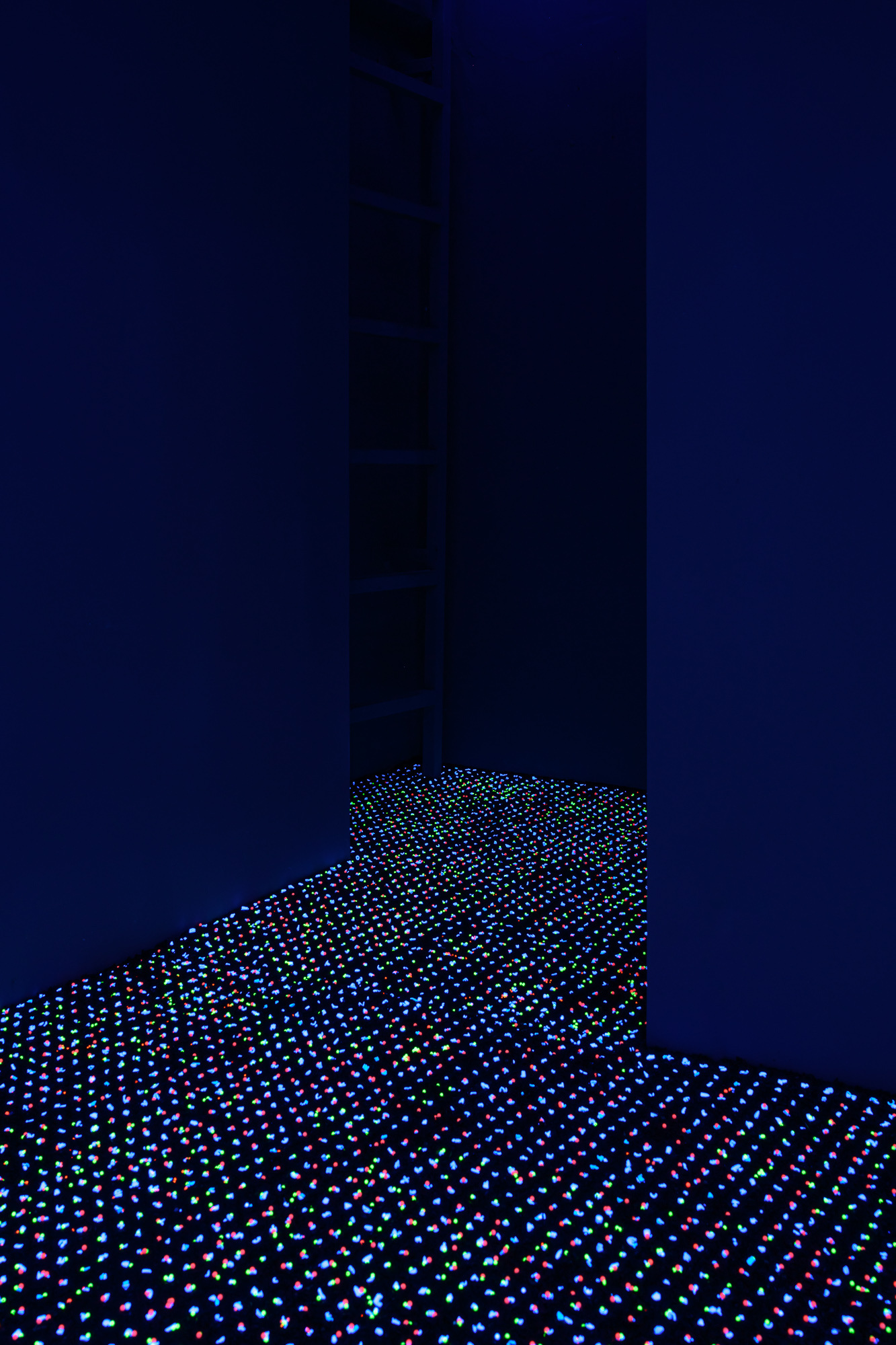 20211229_Natural-sequence_0024_Small
