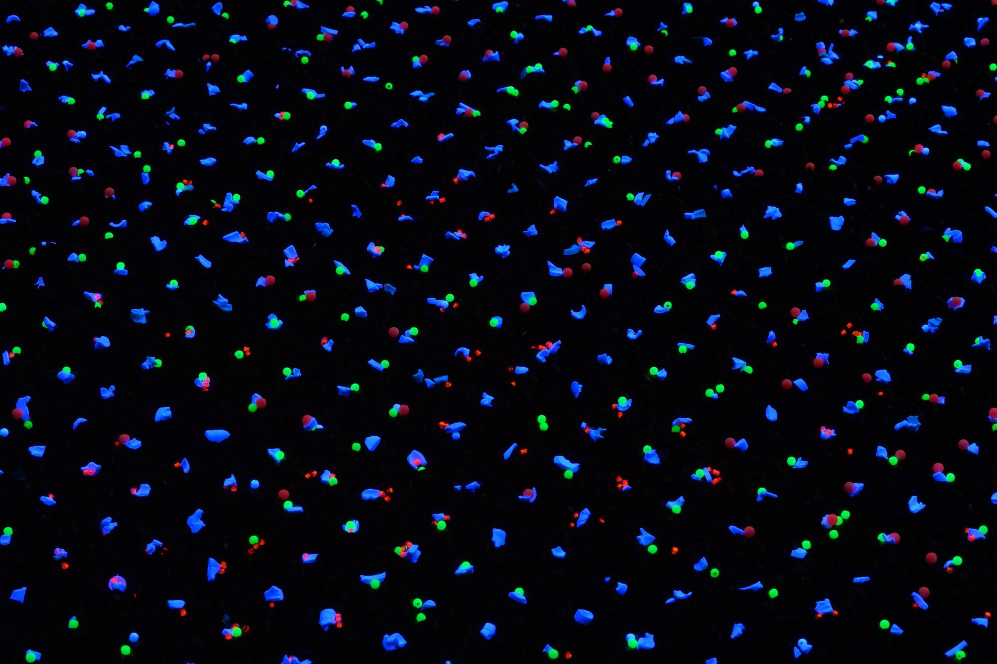 20211229_Natural-sequence_0047_Small