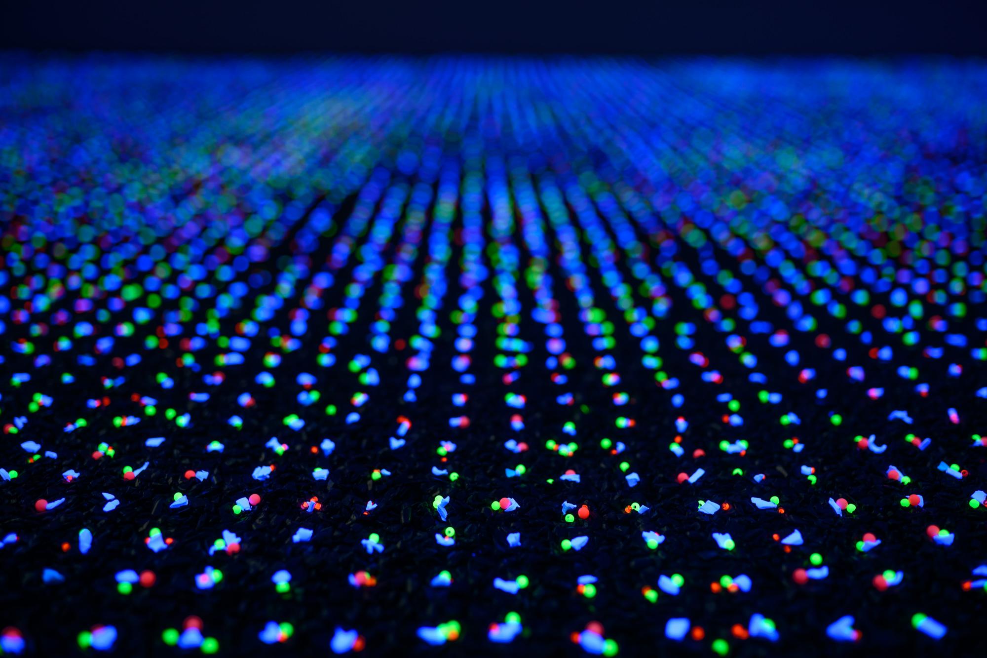 20211229_Natural-sequence_0076_Small