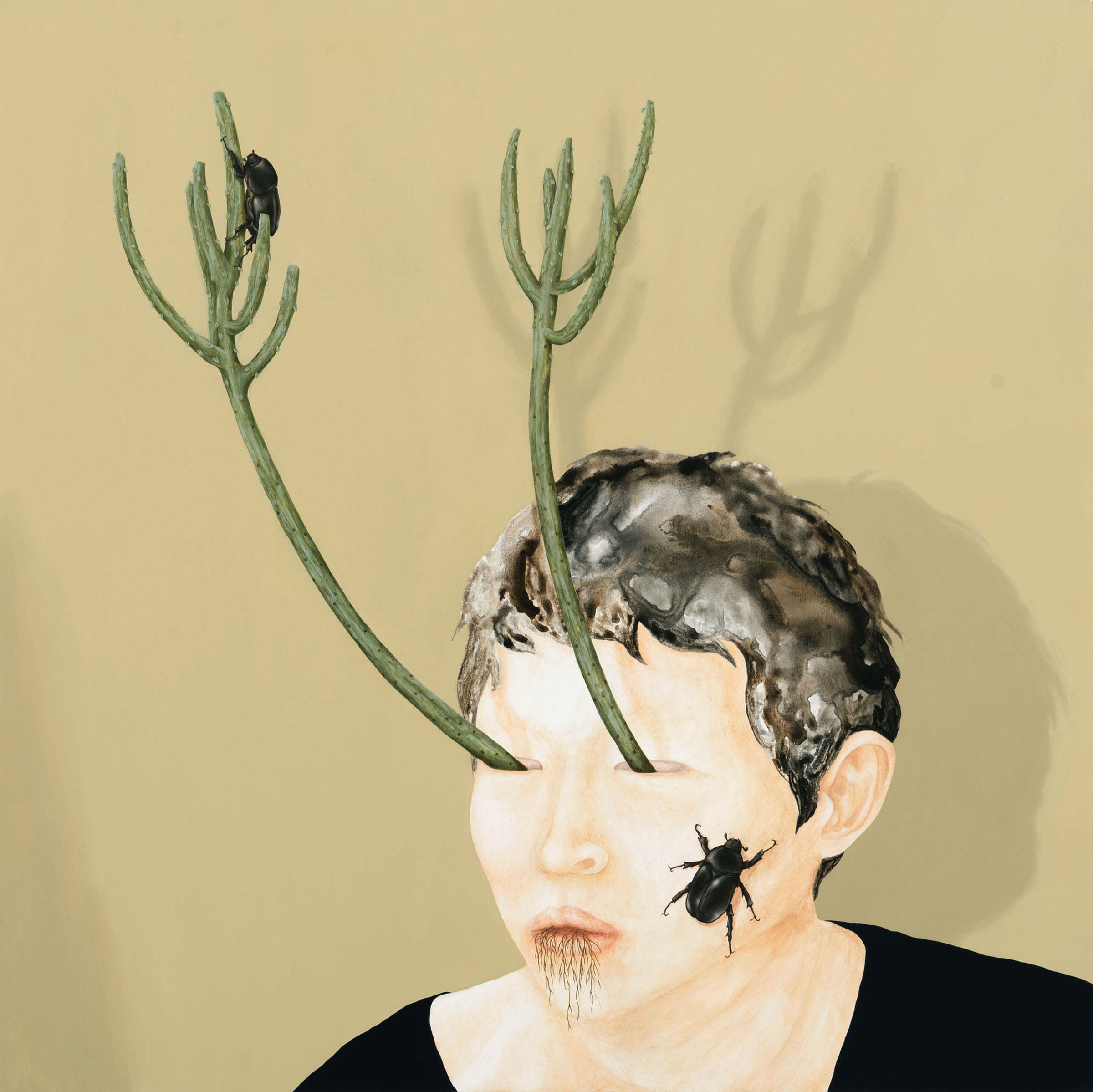 傑克與他的魔豆