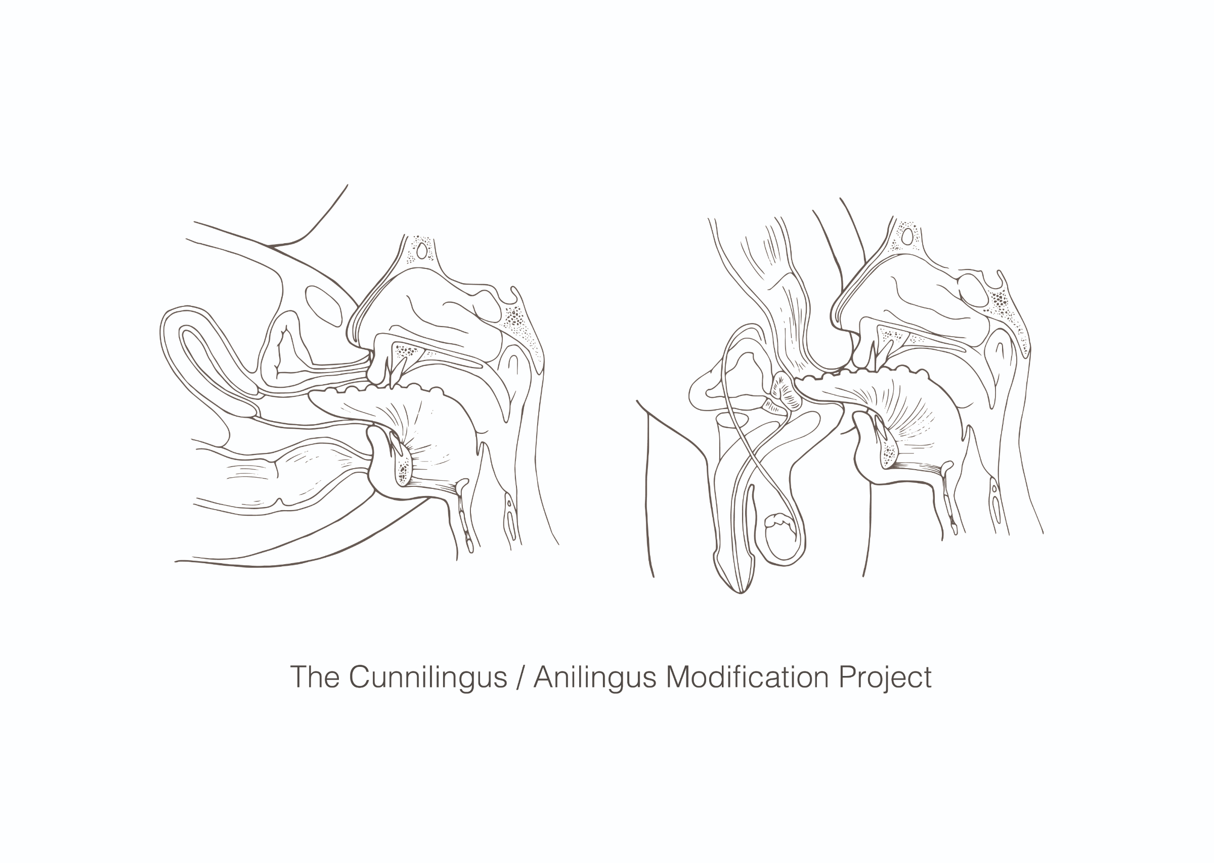 ​The Cunnilingus/Anilingus Modification Project