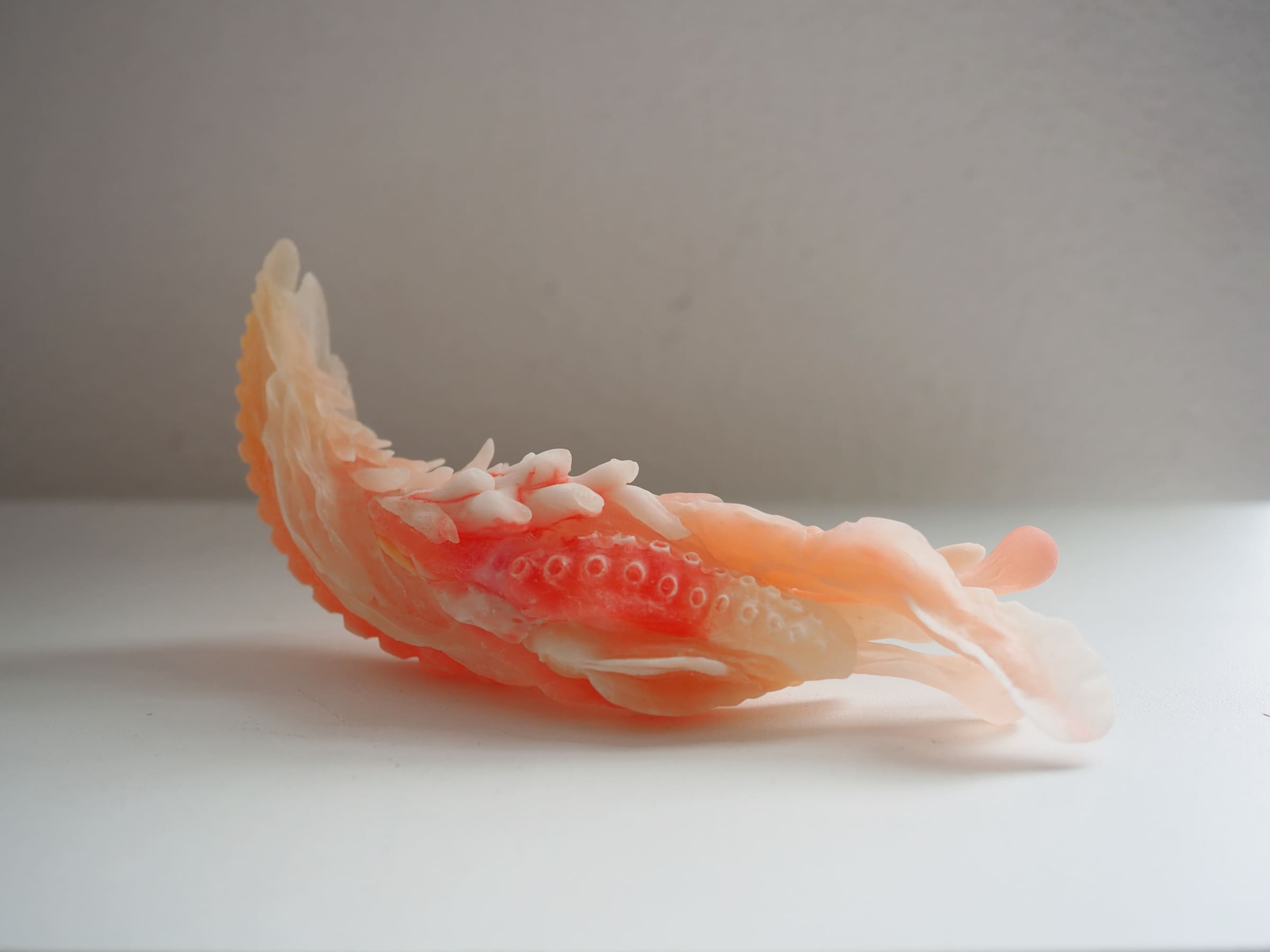 Tiger-Penis-Project-2