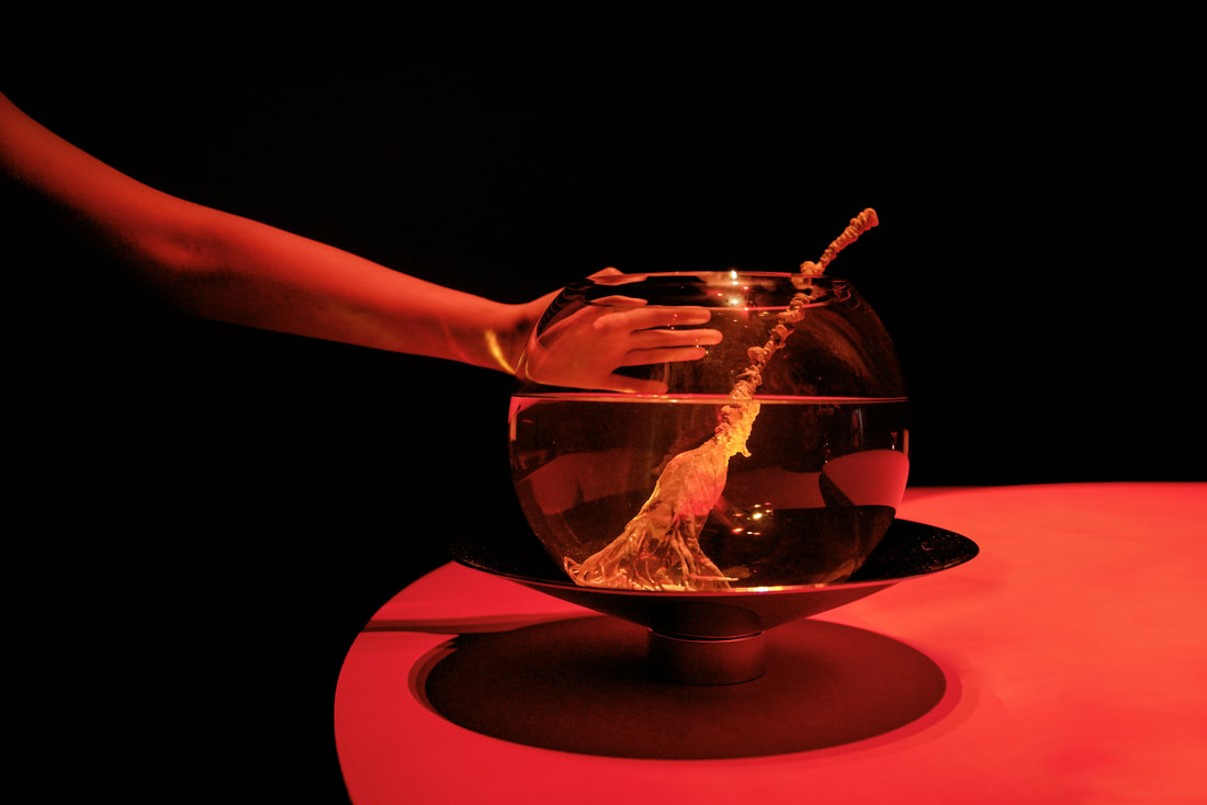 dsc09639_orig