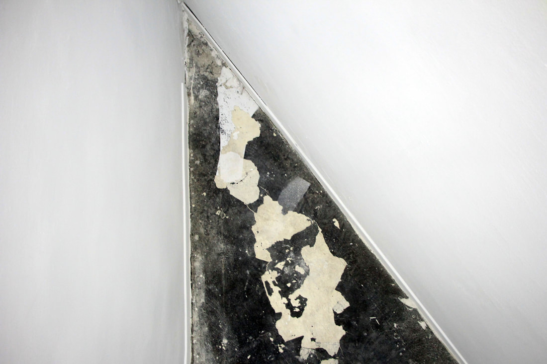 img-4669_orig