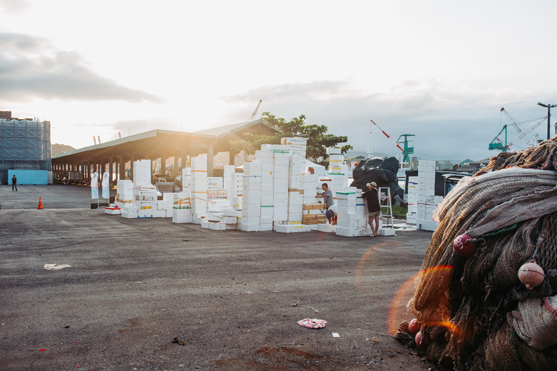 一層層：丘陵，集散地，漁網，漁貨，鳥，港口