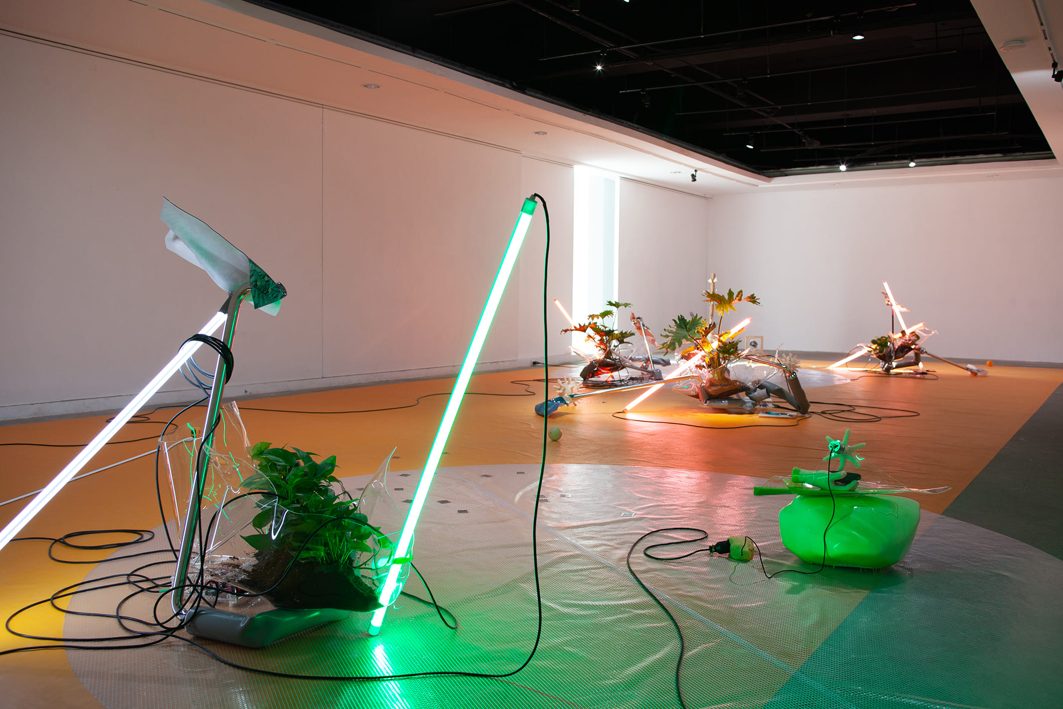 無情眾生有情聚