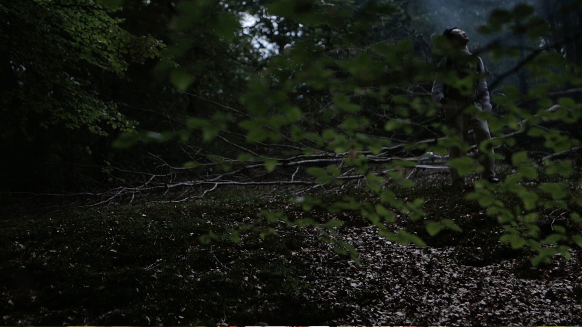 Kosmos06