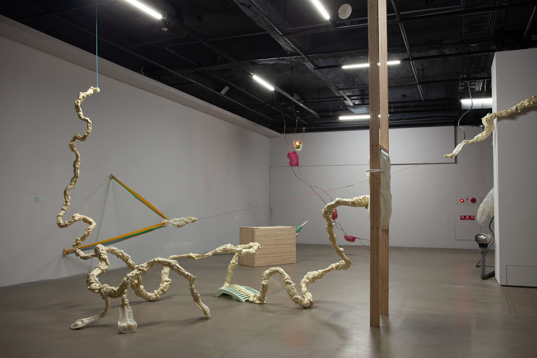 變型者，何處與誰的輪廓