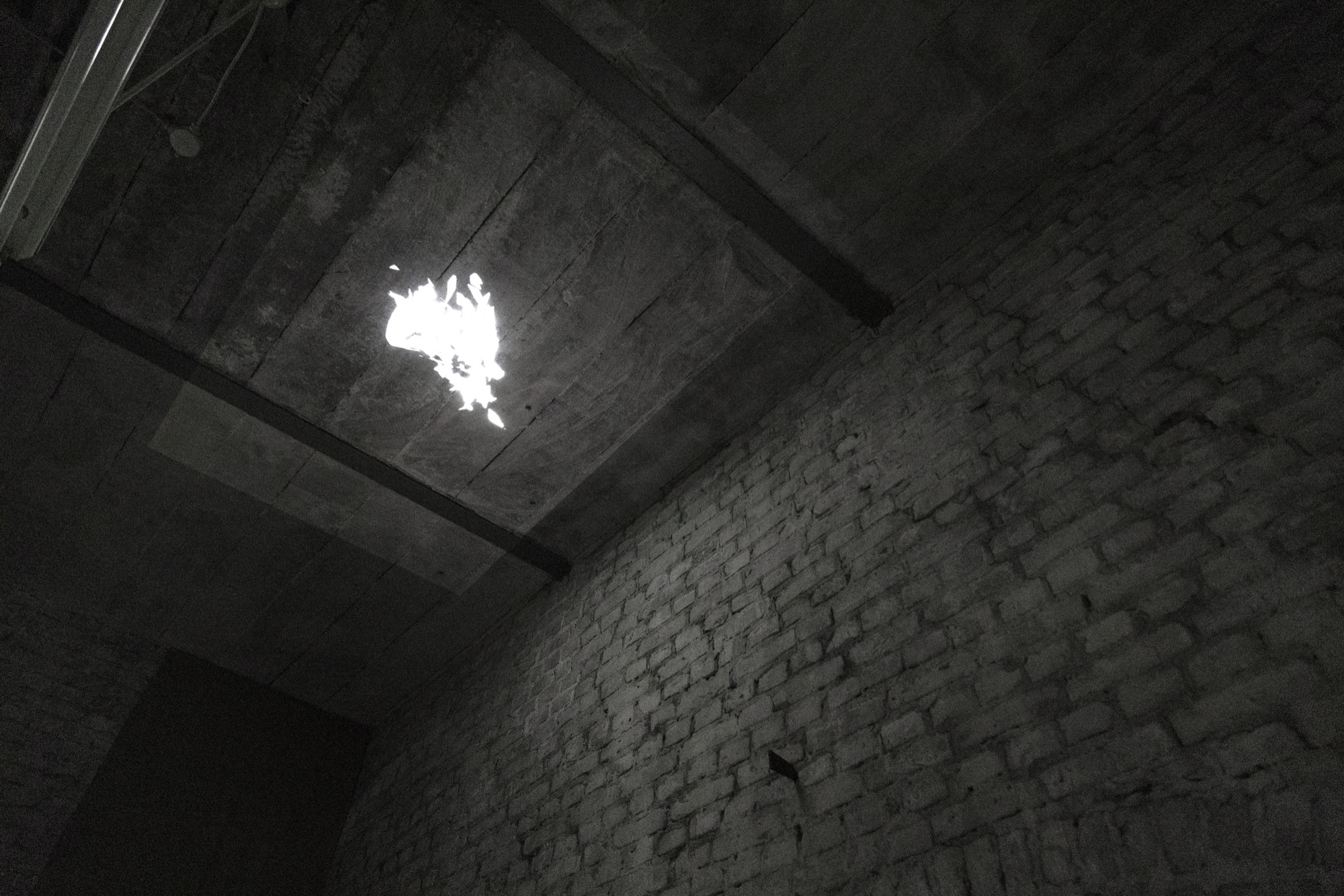 OOO_Uterus-Is-a-Kiln-Egg-Is-Fired_005